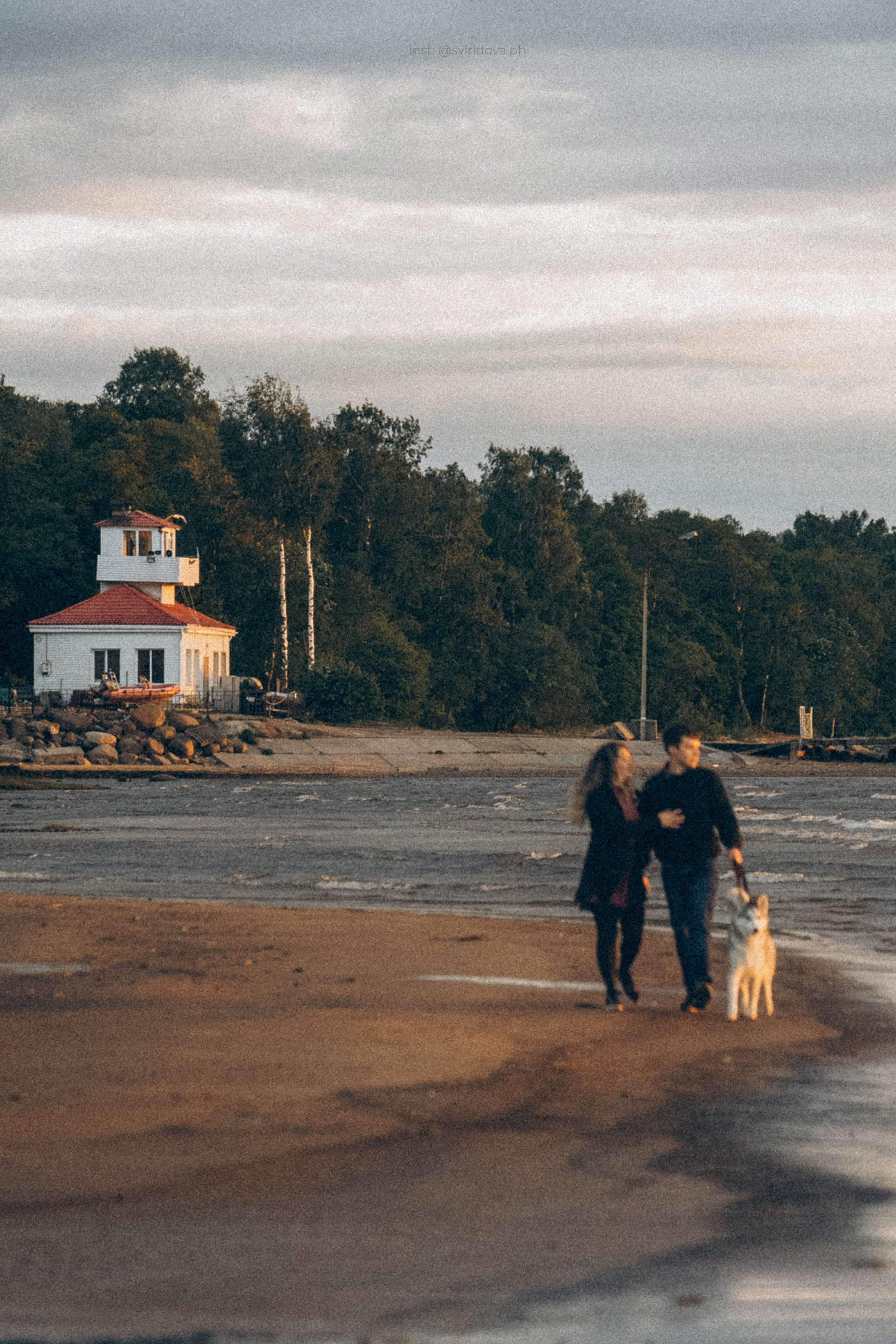 Катя, Илья, Лагерта. Фотограф анималист в Москве и Санкт-Петербурге Свиридова Анна