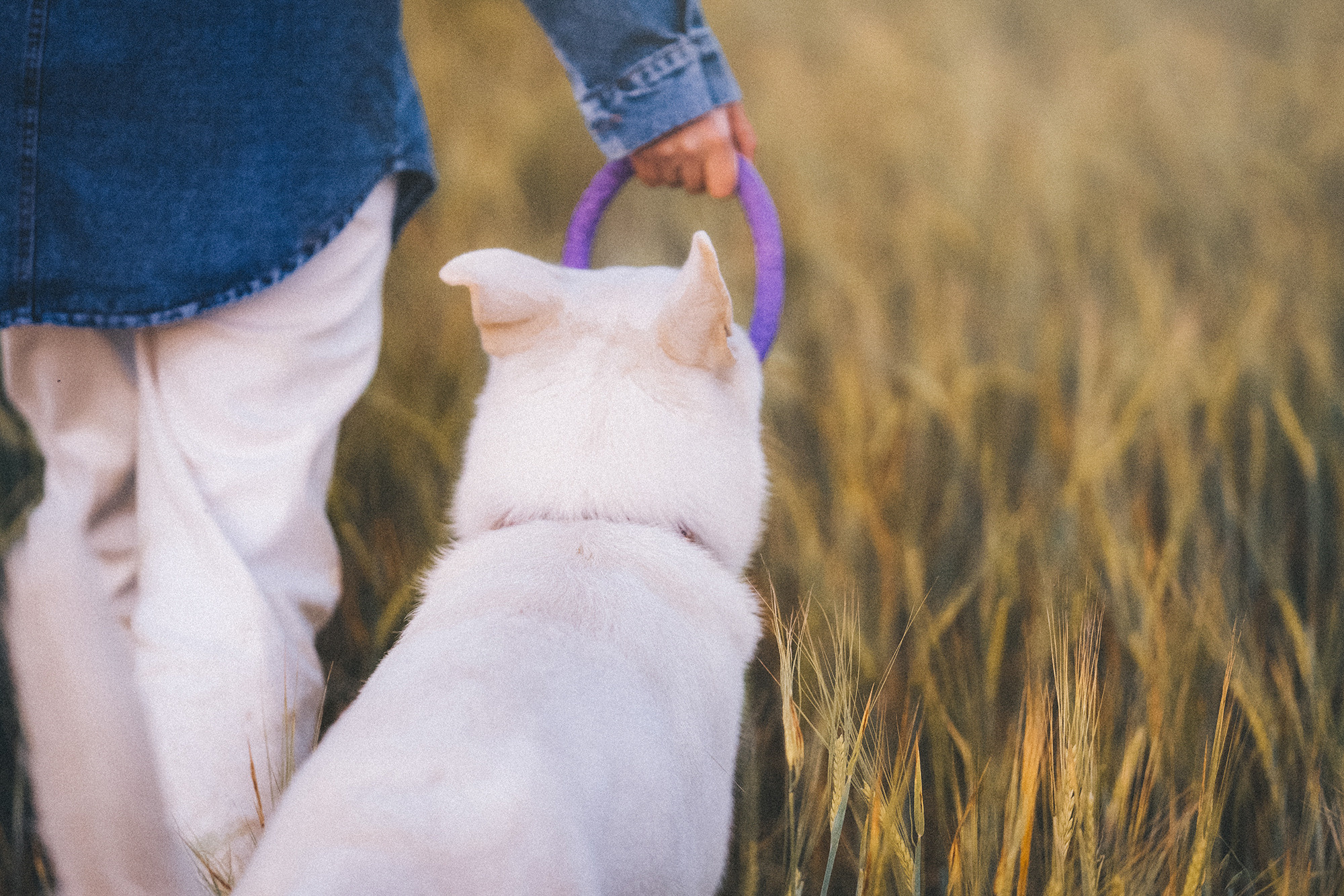 Лиза и Юста. Фотограф анималист в Москве и Санкт-Петербурге Свиридова Анна