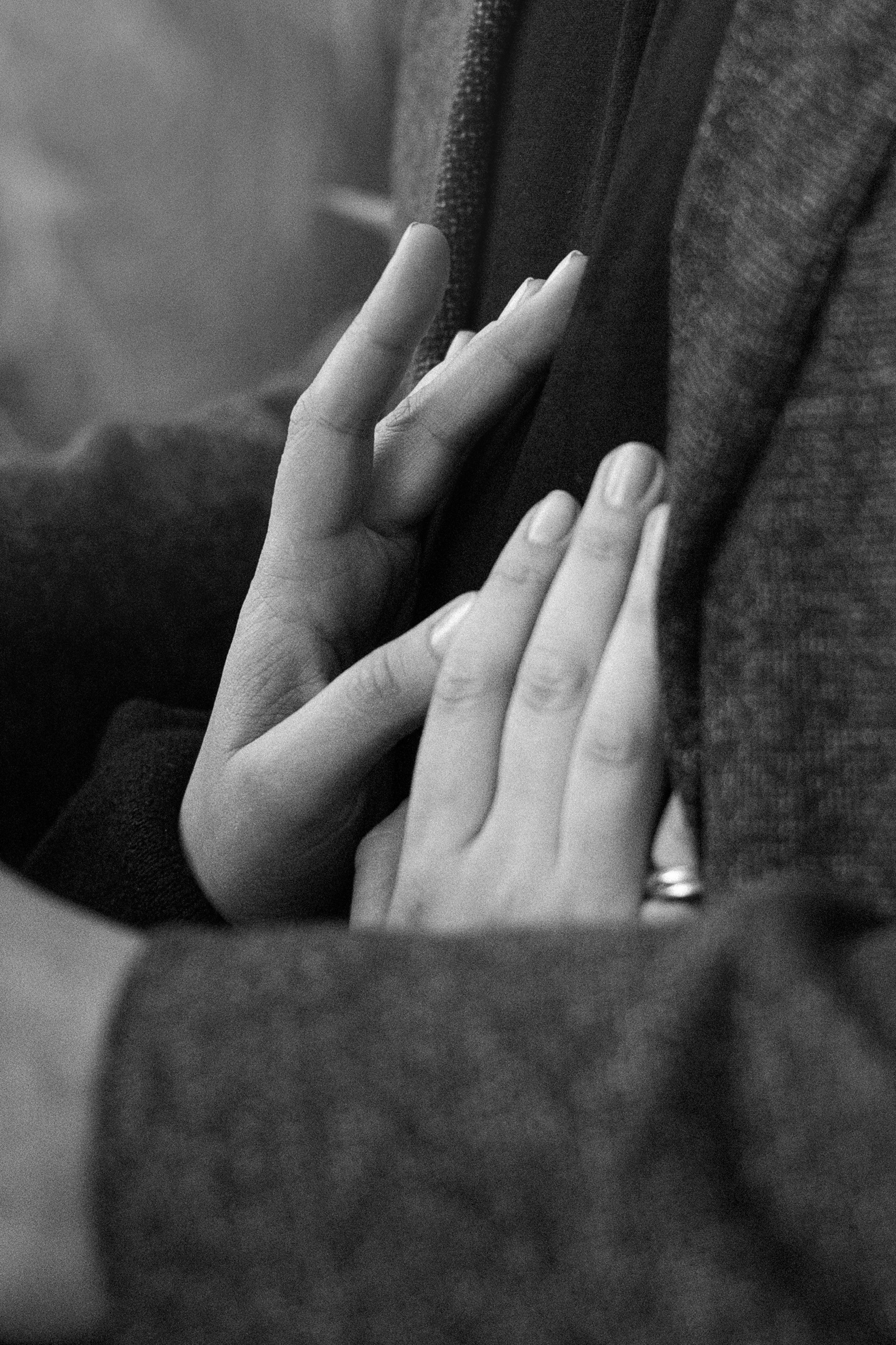 Амина, Андрей и Умка. Фотограф анималист в Москве и Санкт-Петербурге Свиридова Анна