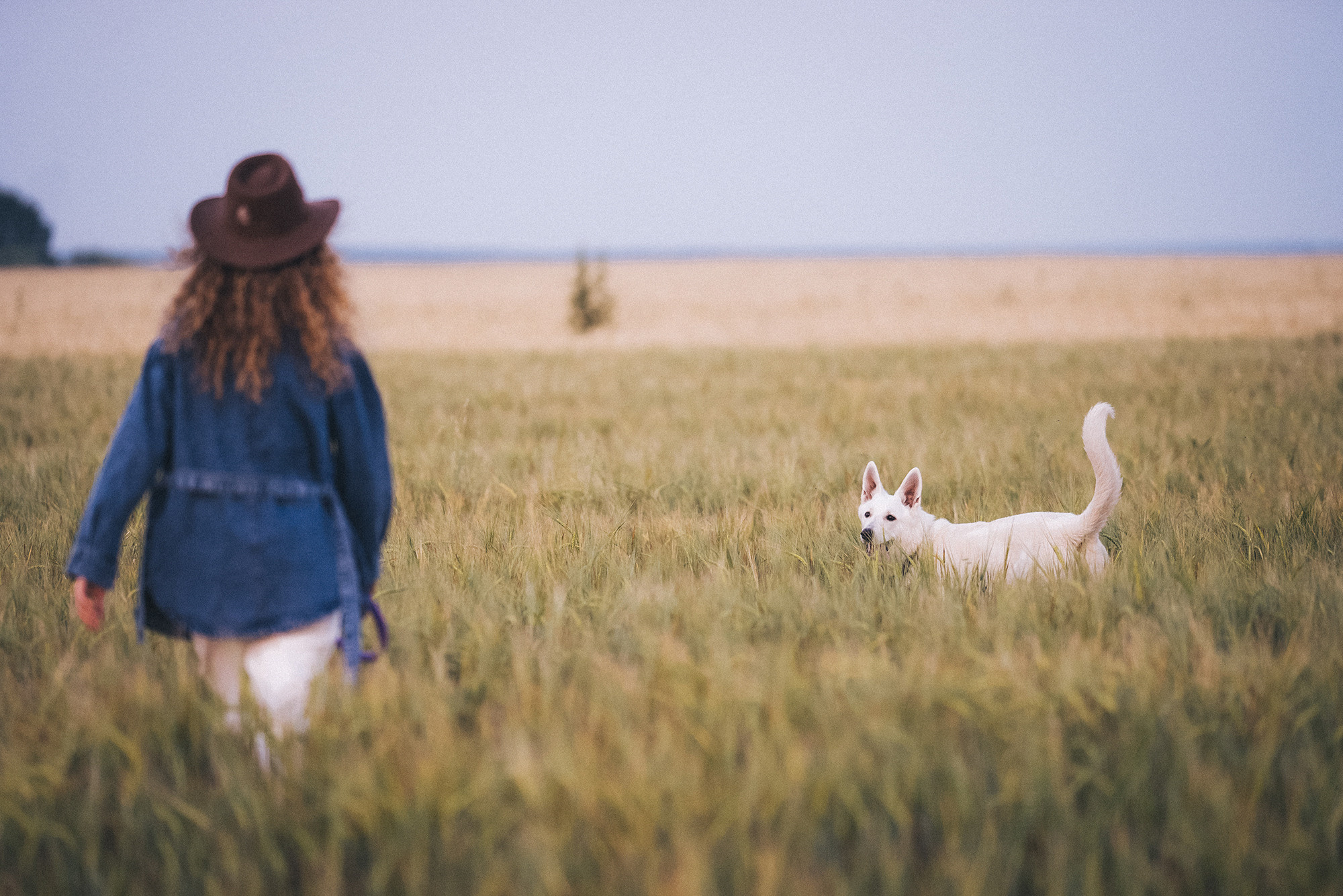 Лиза и Юста. Фотограф анималист в Москве и Санкт-Петербурге Свиридова Анна