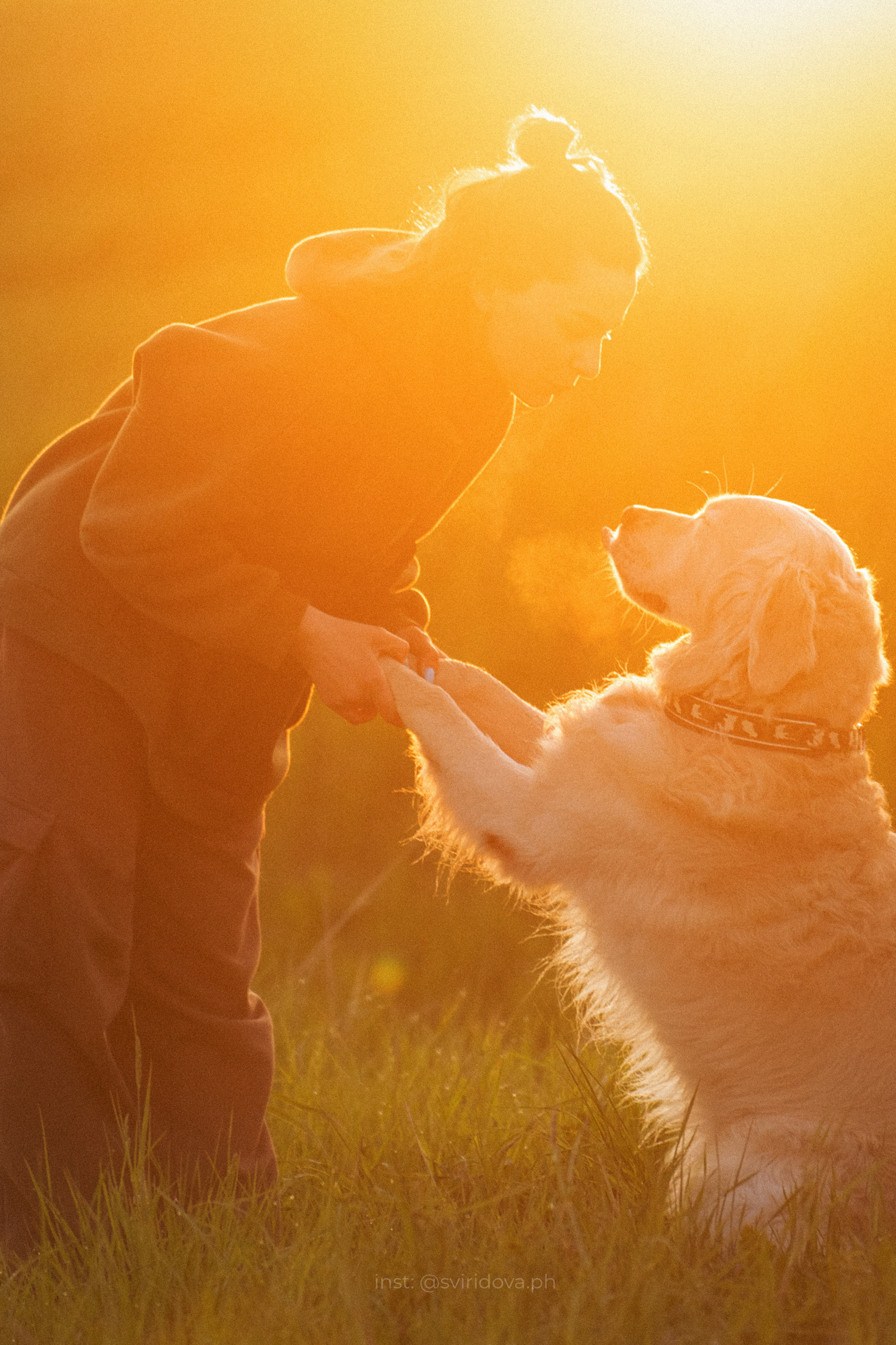 Настя и Арчи. Фотограф анималист в Москве и Санкт-Петербурге Свиридова Анна