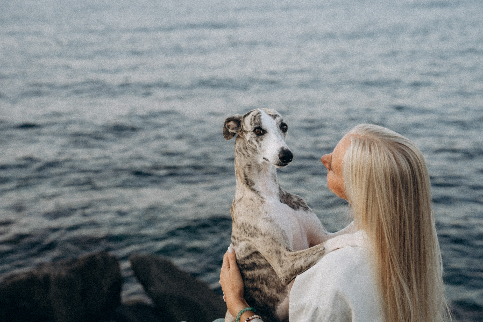 Аня и Джованни. Фотограф анималист в Москве и Санкт-Петербурге Свиридова Анна