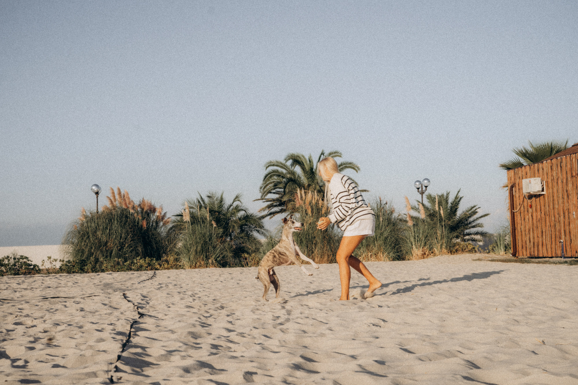 Аня и Джованни. Фотограф анималист в Москве и Санкт-Петербурге Свиридова Анна