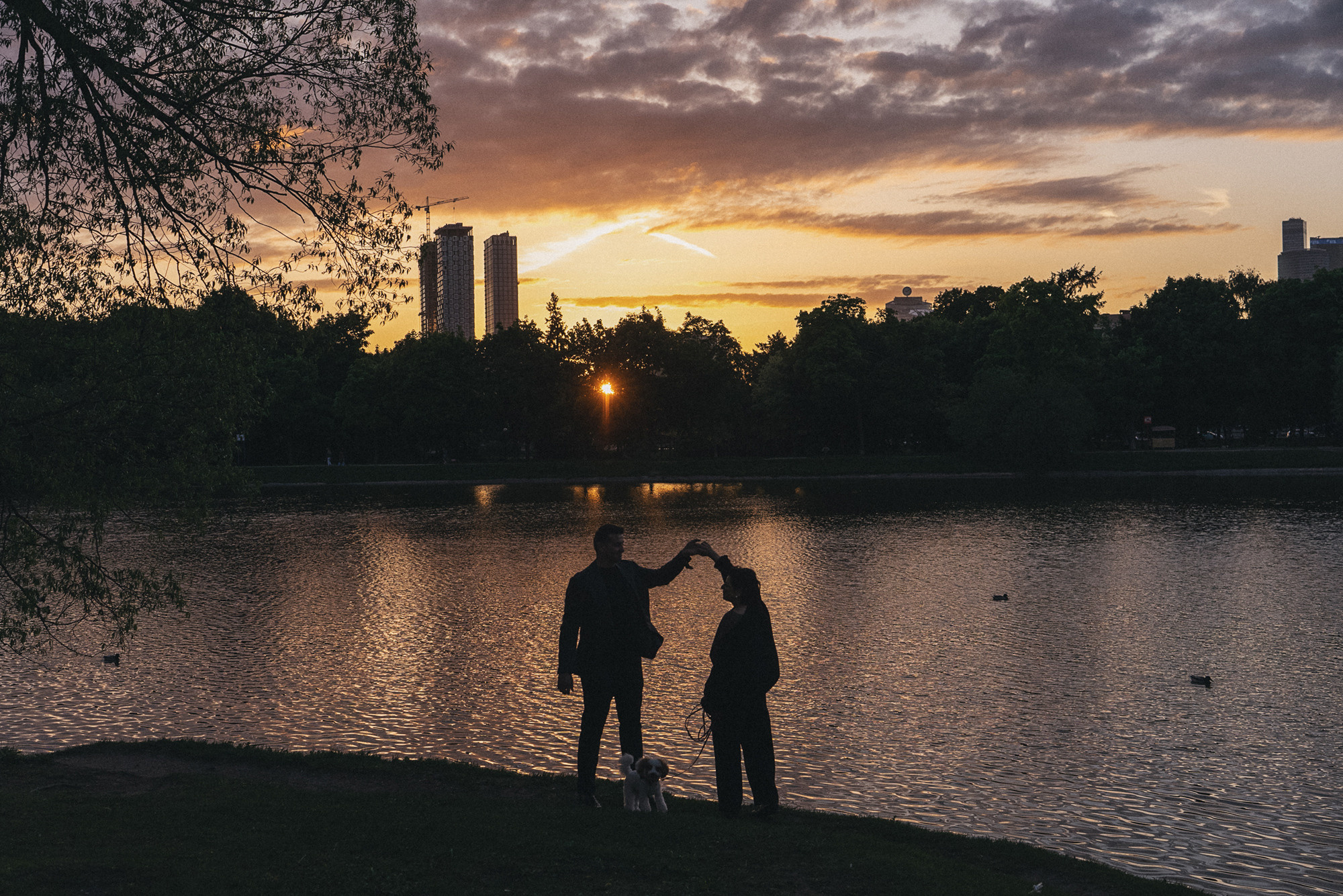 Амина, Андрей и Умка. Фотограф анималист в Москве и Санкт-Петербурге Свиридова Анна