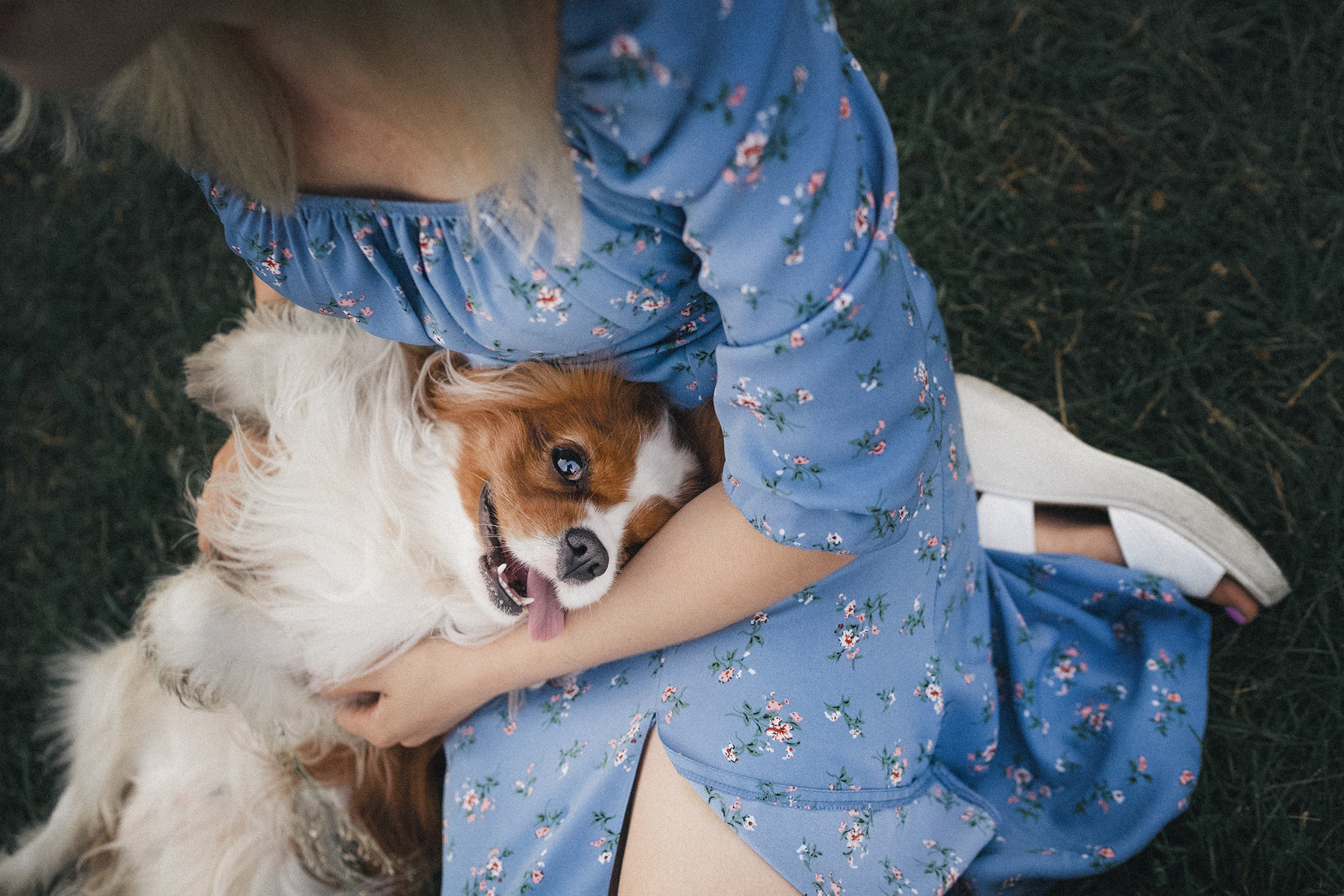 Таня и Лео. Фотограф анималист в Москве и Санкт-Петербурге Свиридова Анна