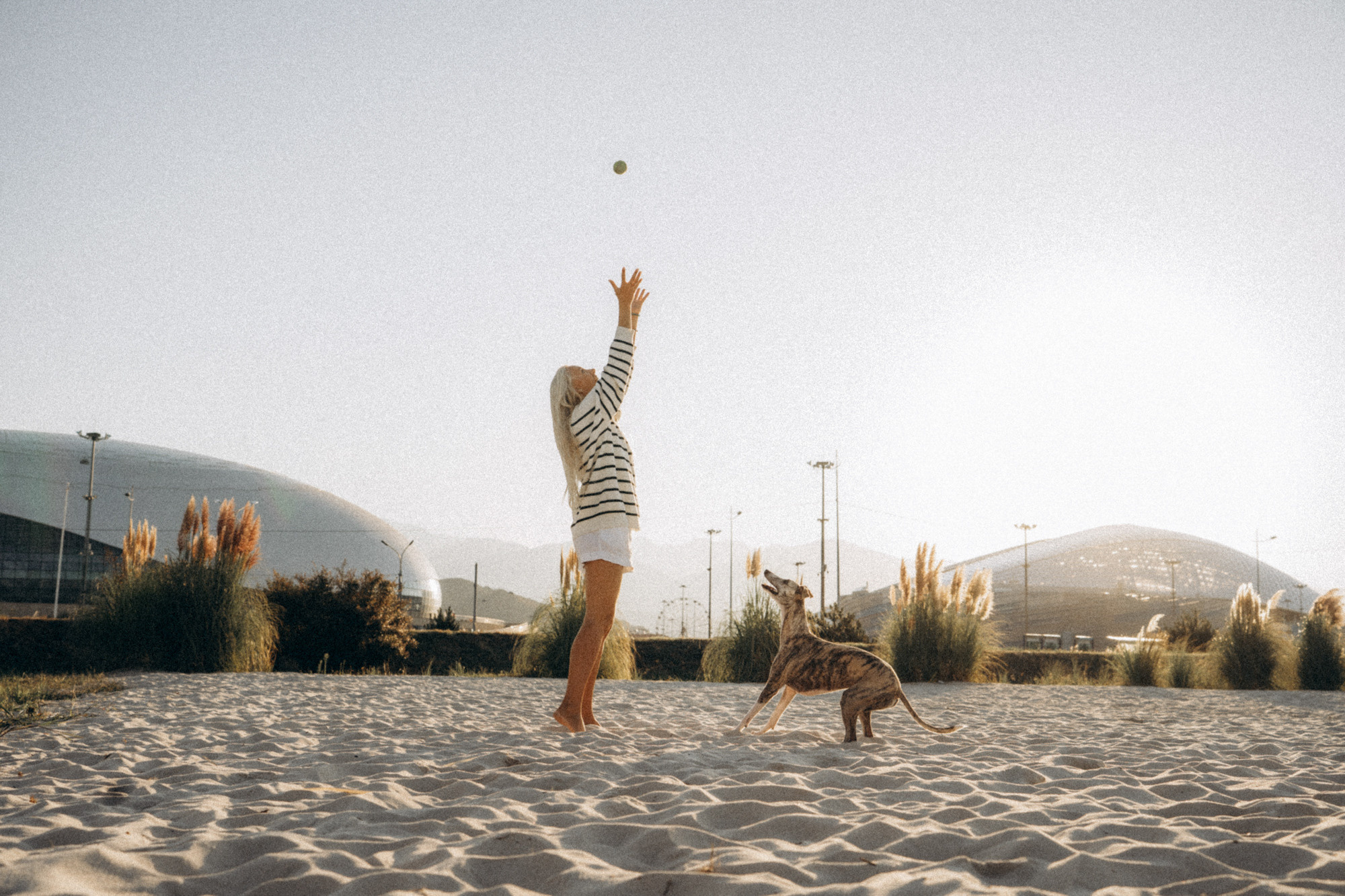 Аня и Джованни. Фотограф анималист в Москве и Санкт-Петербурге Свиридова Анна