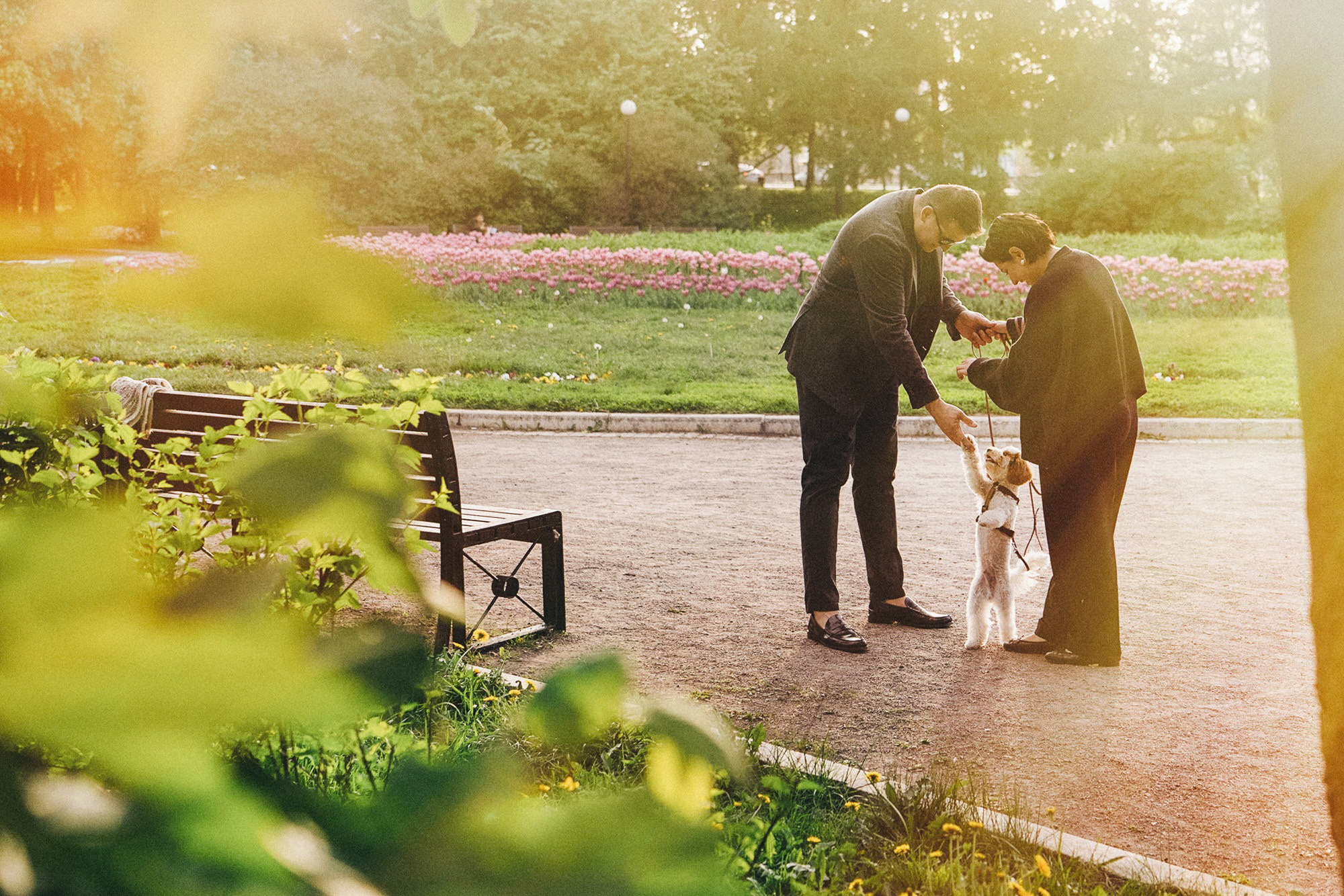 Амина, Андрей и Умка. Фотограф анималист в Москве и Санкт-Петербурге Свиридова Анна