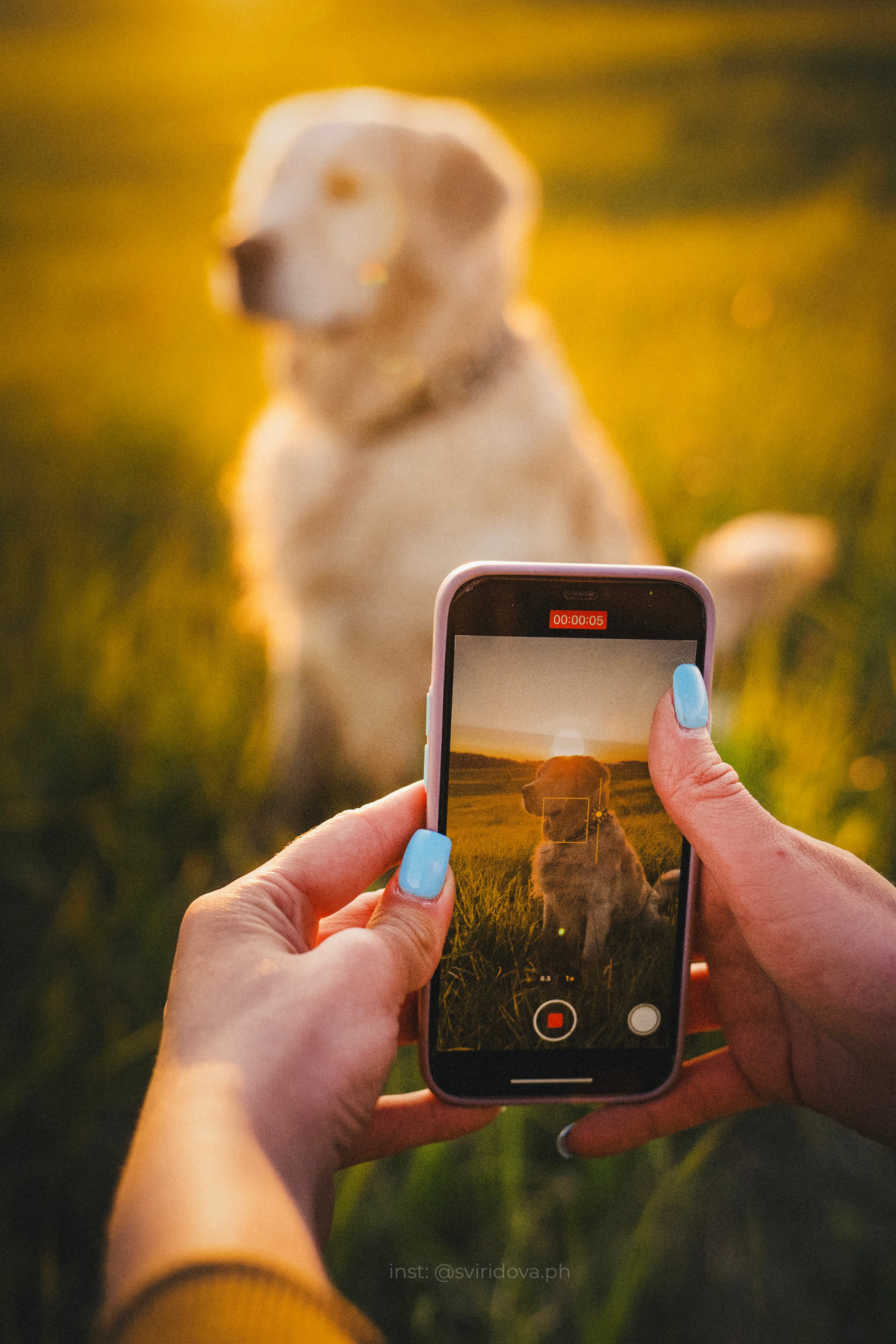 Настя и Арчи. Фотограф анималист в Москве и Санкт-Петербурге Свиридова Анна