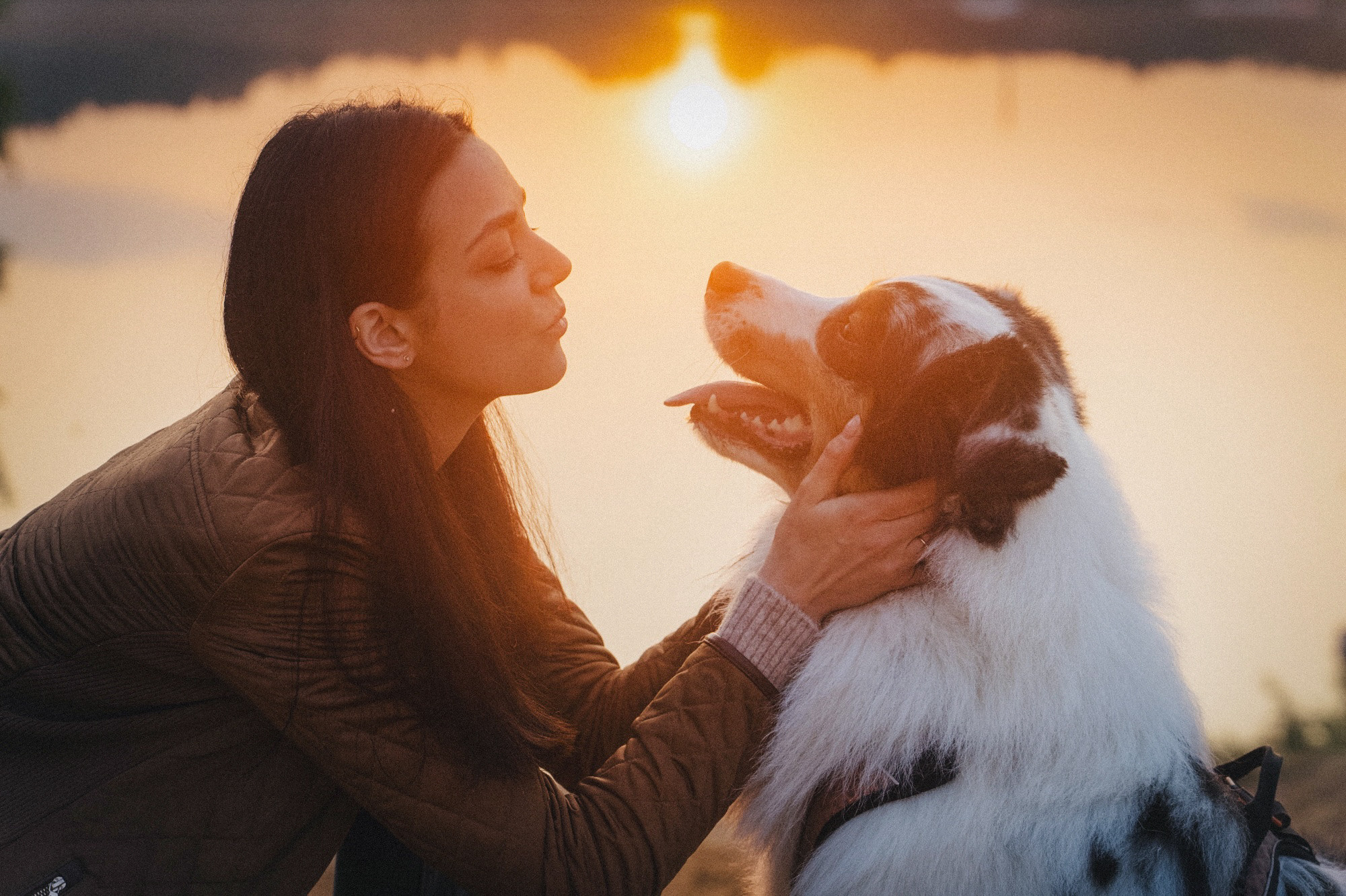 Аня, Игорь, Аусь и Хась. Фотограф анималист в Москве и Санкт-Петербурге Свиридова Анна