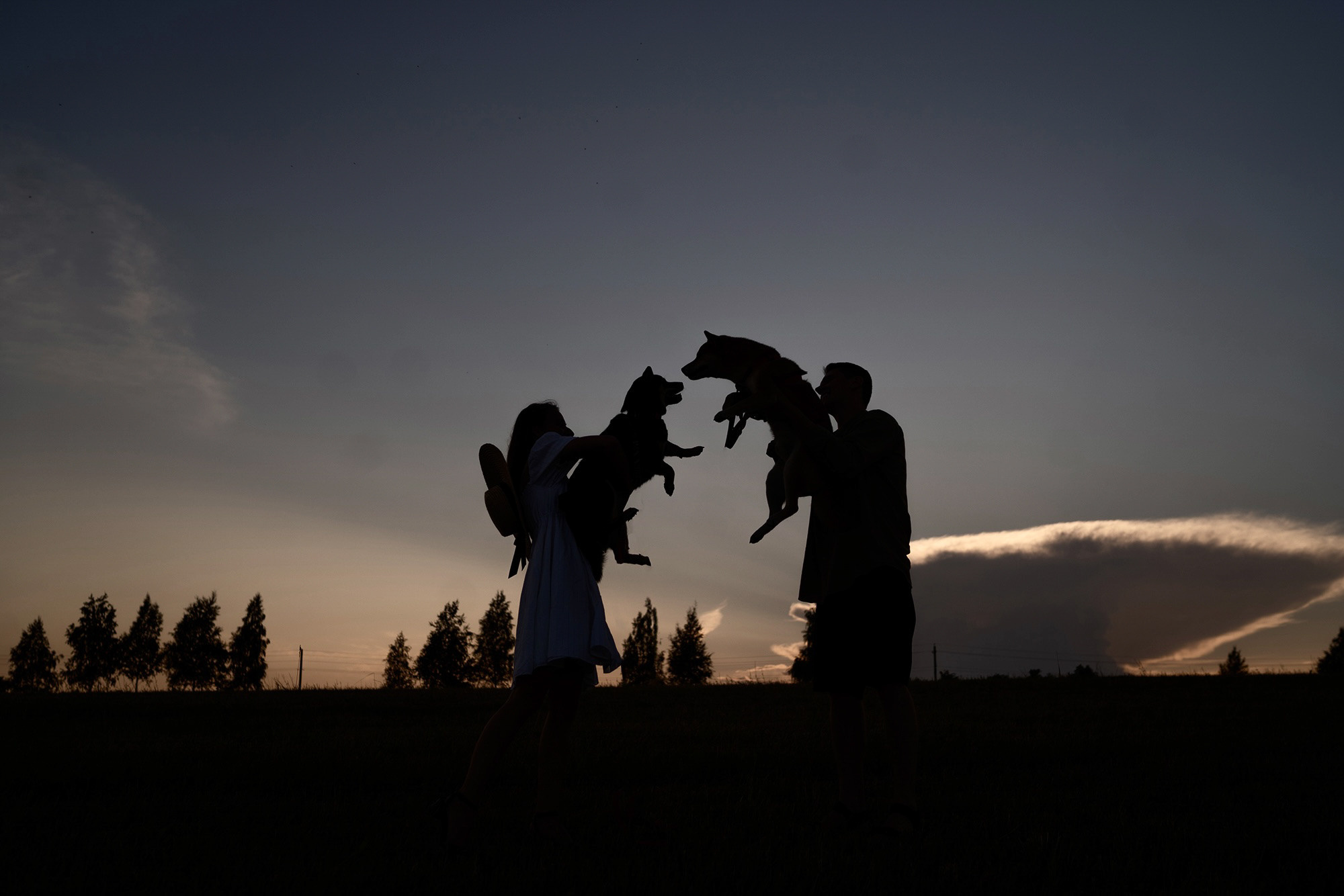 Катя, Вася, Роки и Бэлла. Фотограф анималист в Москве и Санкт-Петербурге Свиридова Анна