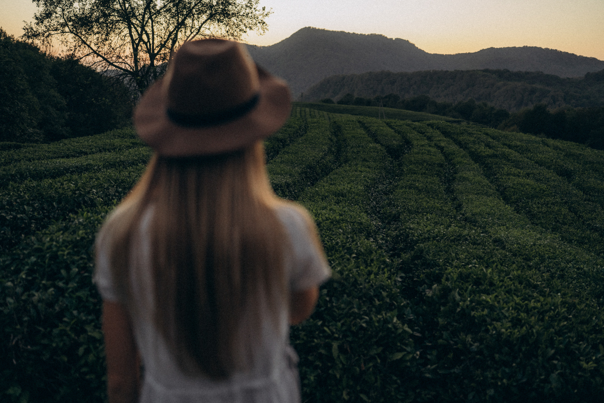 Женя и Мира. Фотограф анималист в Москве и Санкт-Петербурге Свиридова Анна