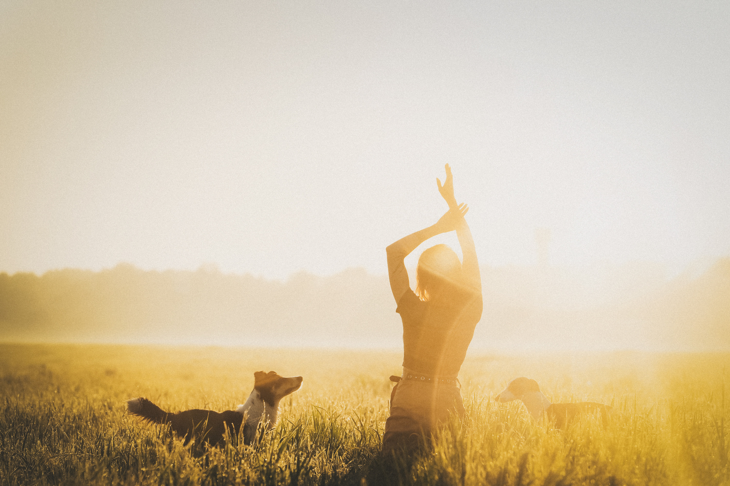 Софа, Уна и Лють. Фотограф анималист в Москве и Санкт-Петербурге Свиридова Анна