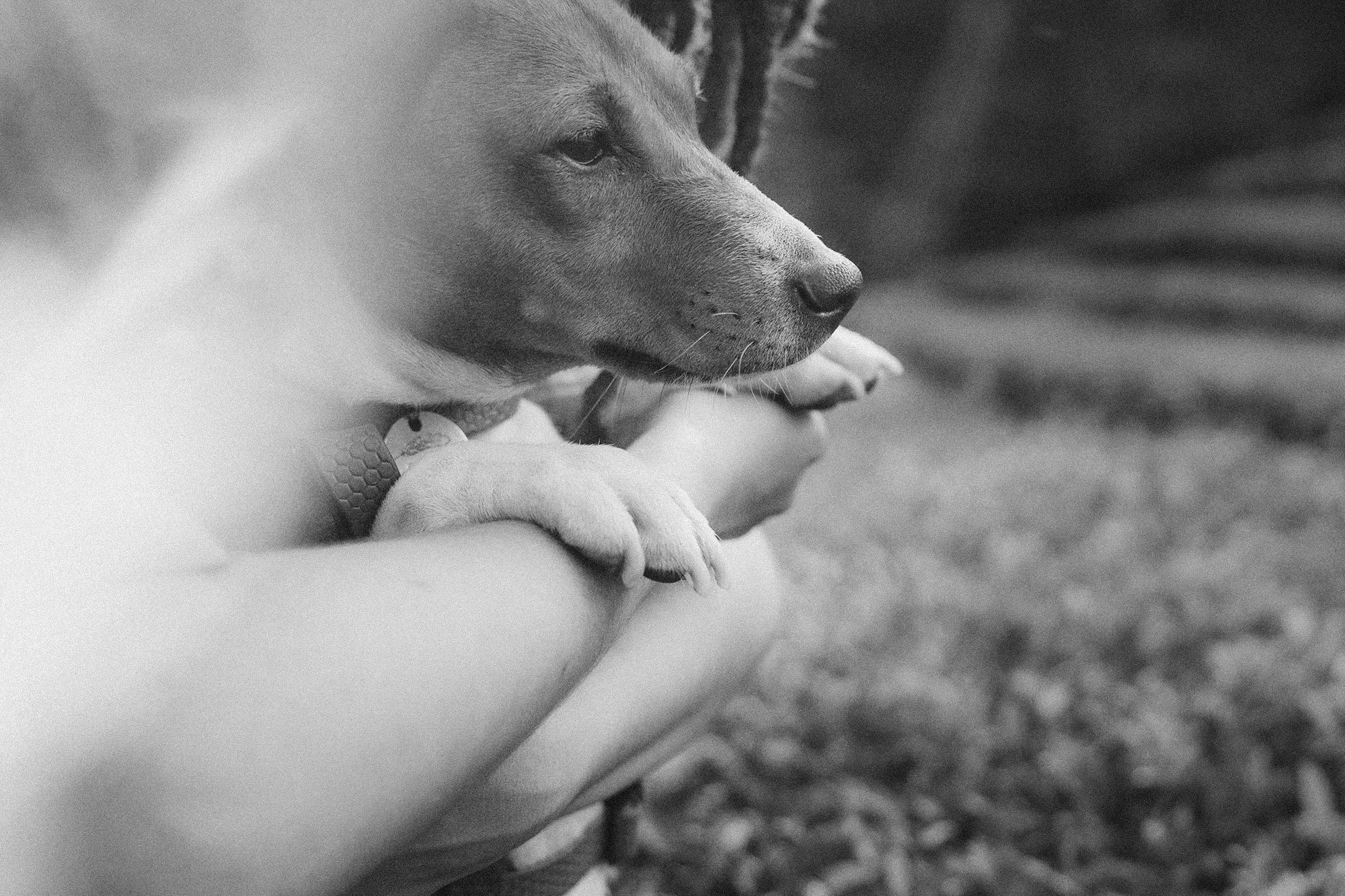 Арина и Рики. Фотограф анималист в Москве и Санкт-Петербурге Свиридова Анна