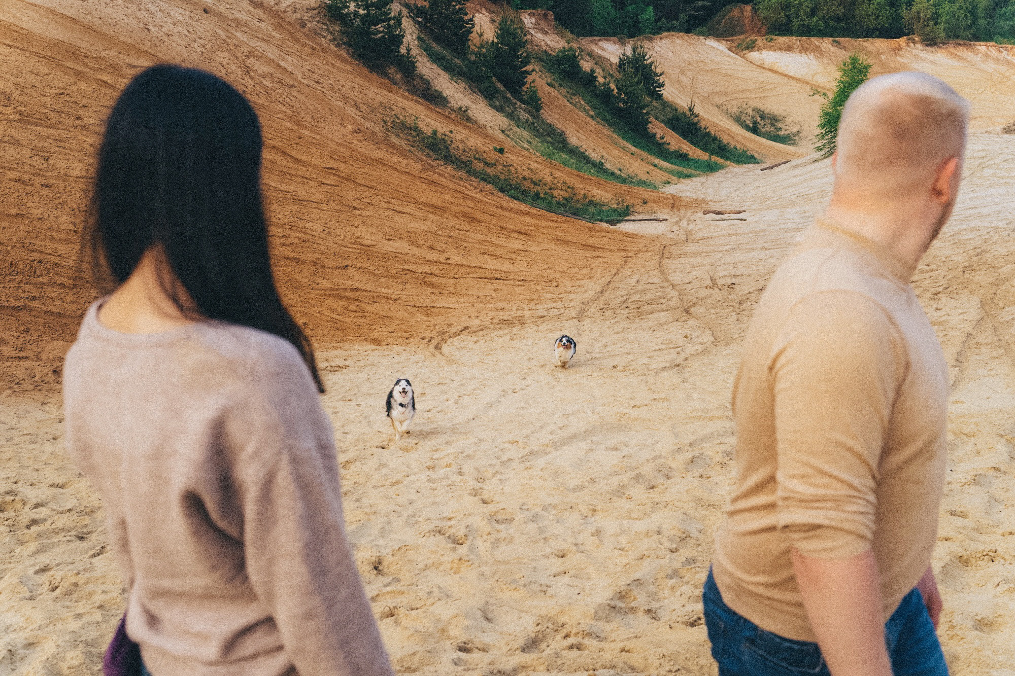 Аня, Игорь, Аусь и Хась. Фотограф анималист в Москве и Санкт-Петербурге Свиридова Анна