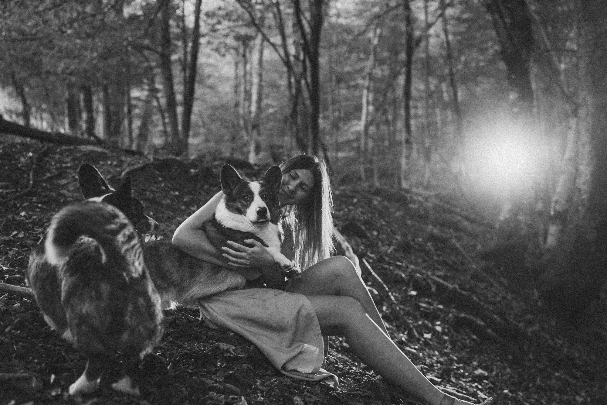 Влада и Коржики. Фотограф анималист в Москве и Санкт-Петербурге Свиридова Анна