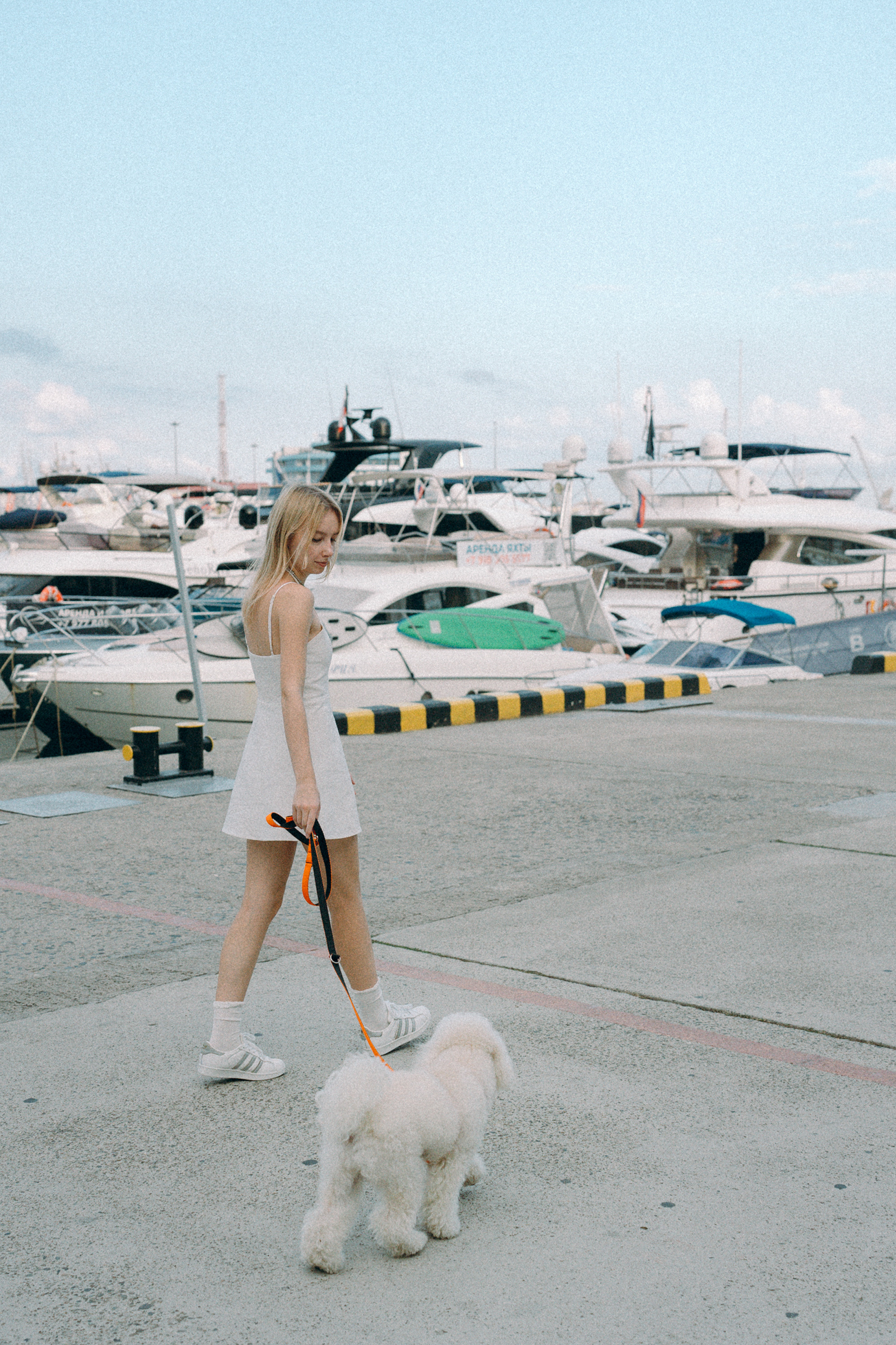 Ангелина и Варежка. Фотограф анималист в Москве и Санкт-Петербурге Свиридова Анна