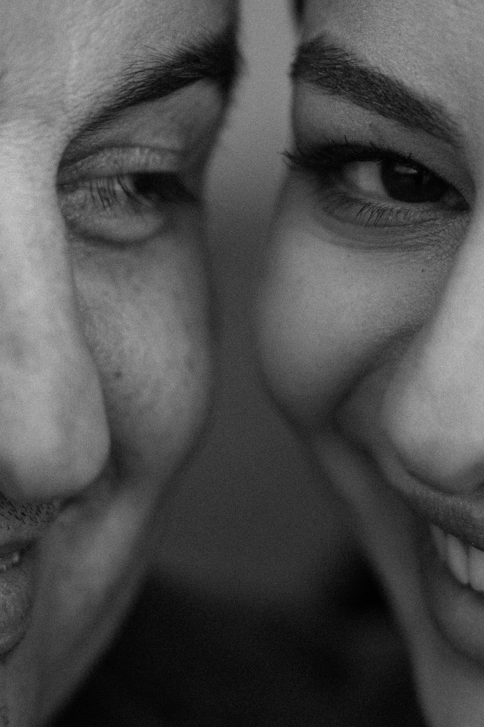 Амина, Андрей и Умка. Фотограф анималист в Москве и Санкт-Петербурге Свиридова Анна