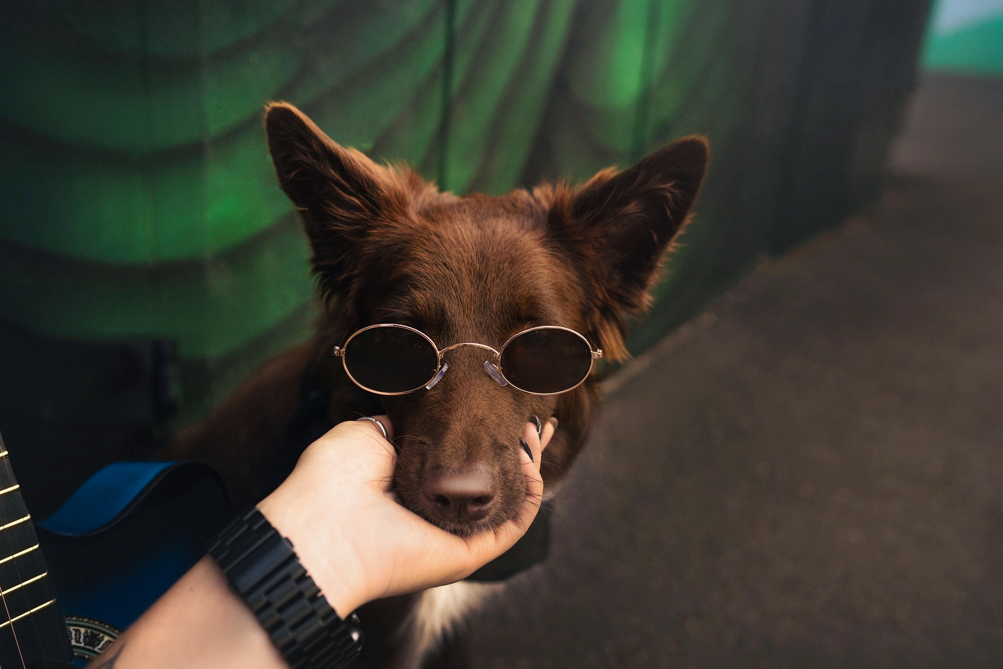 Аня и Брук. Фотограф анималист в Москве и Санкт-Петербурге Свиридова Анна