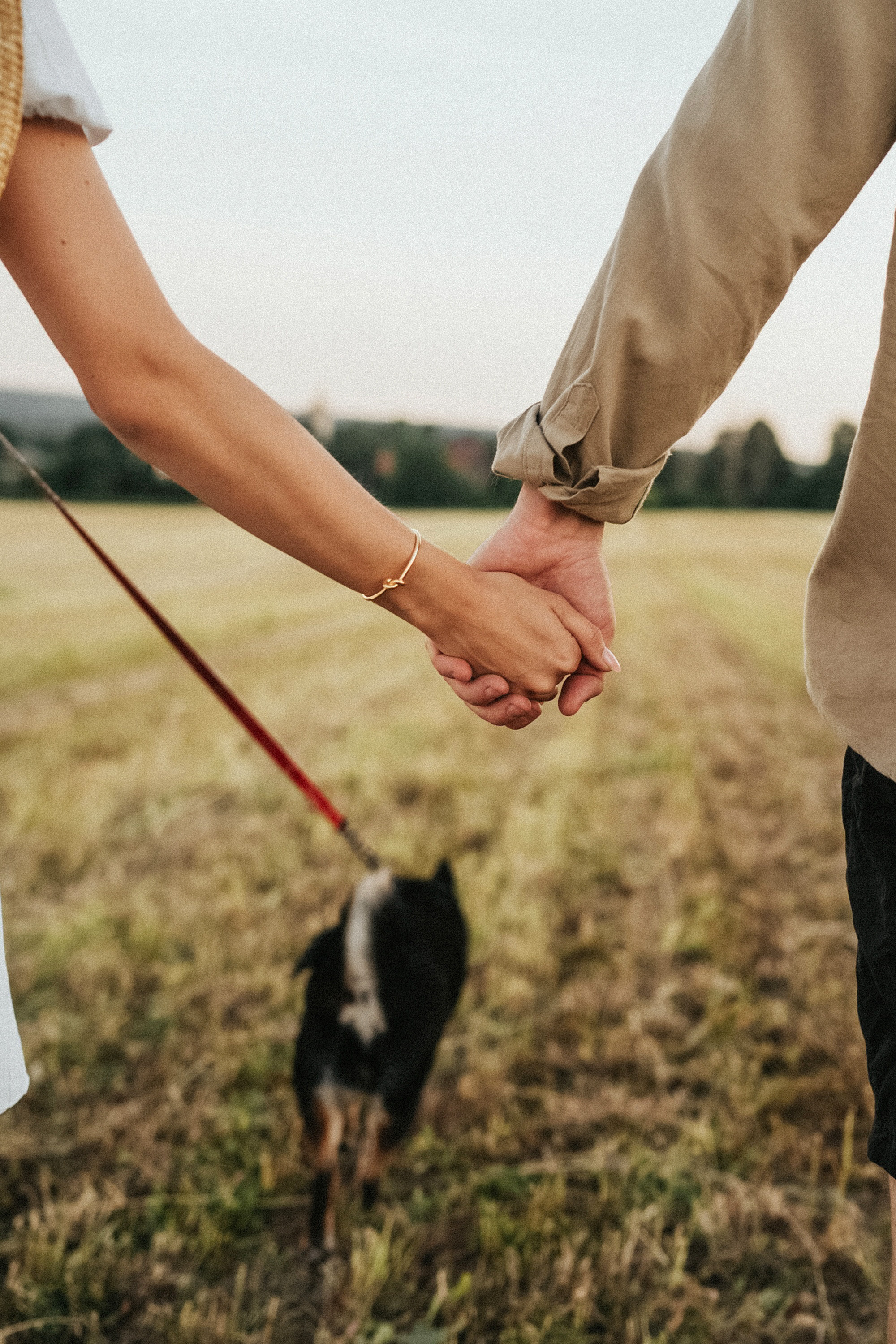 Катя, Вася, Роки и Бэлла. Фотограф анималист в Москве и Санкт-Петербурге Свиридова Анна