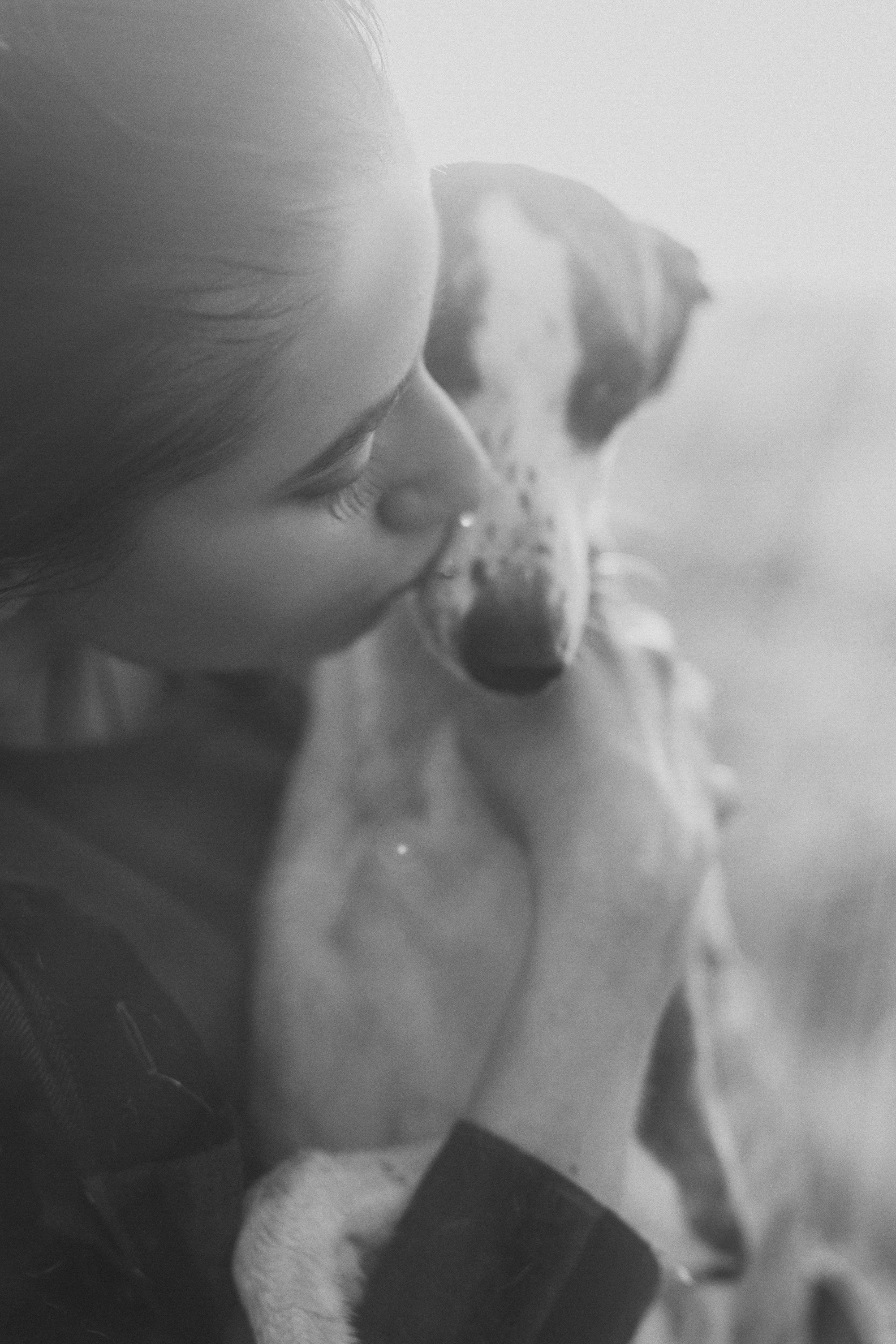 Софа, Уна и Лють. Фотограф анималист в Москве и Санкт-Петербурге Свиридова Анна