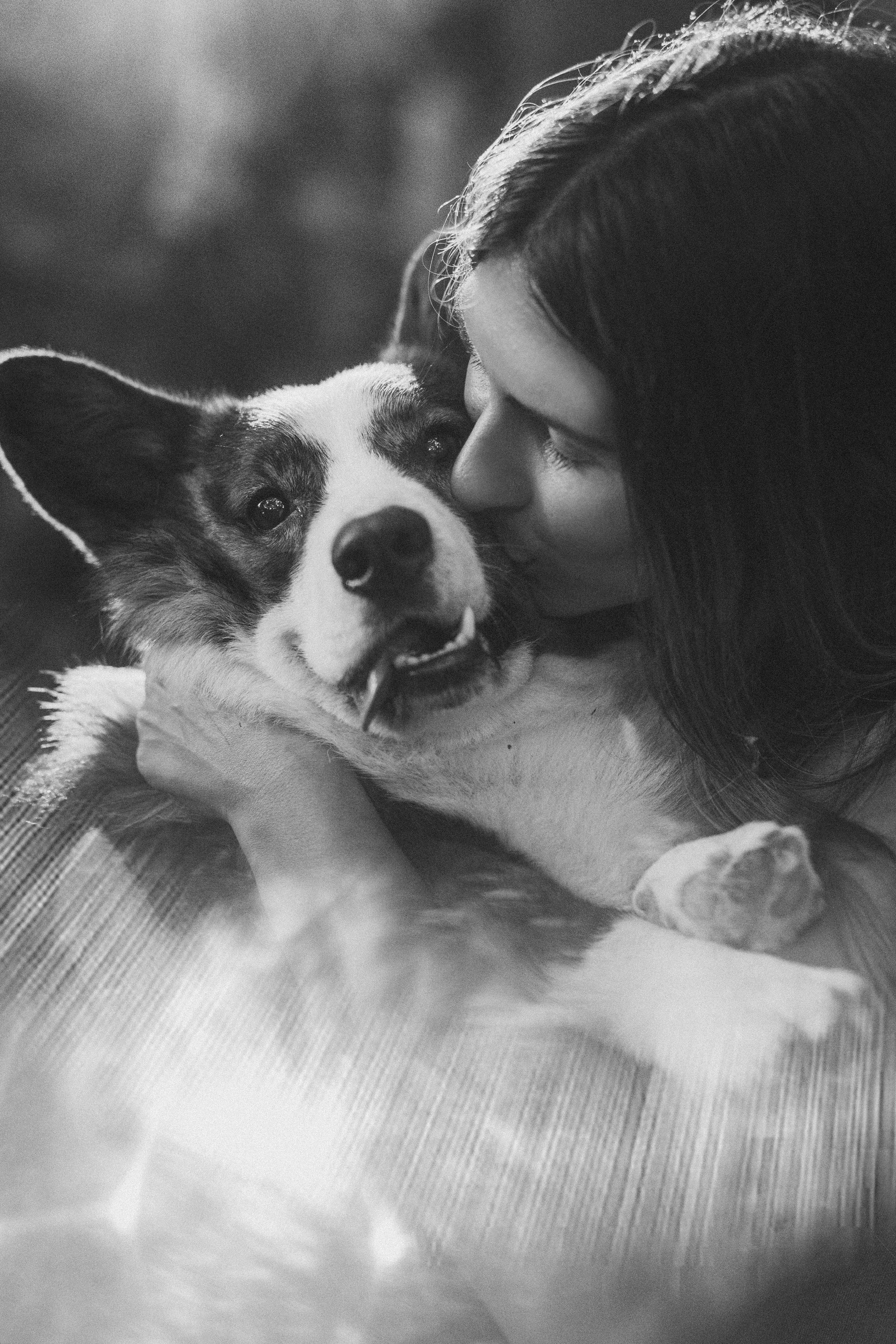 Влада и Коржики. Фотограф анималист в Москве и Санкт-Петербурге Свиридова Анна