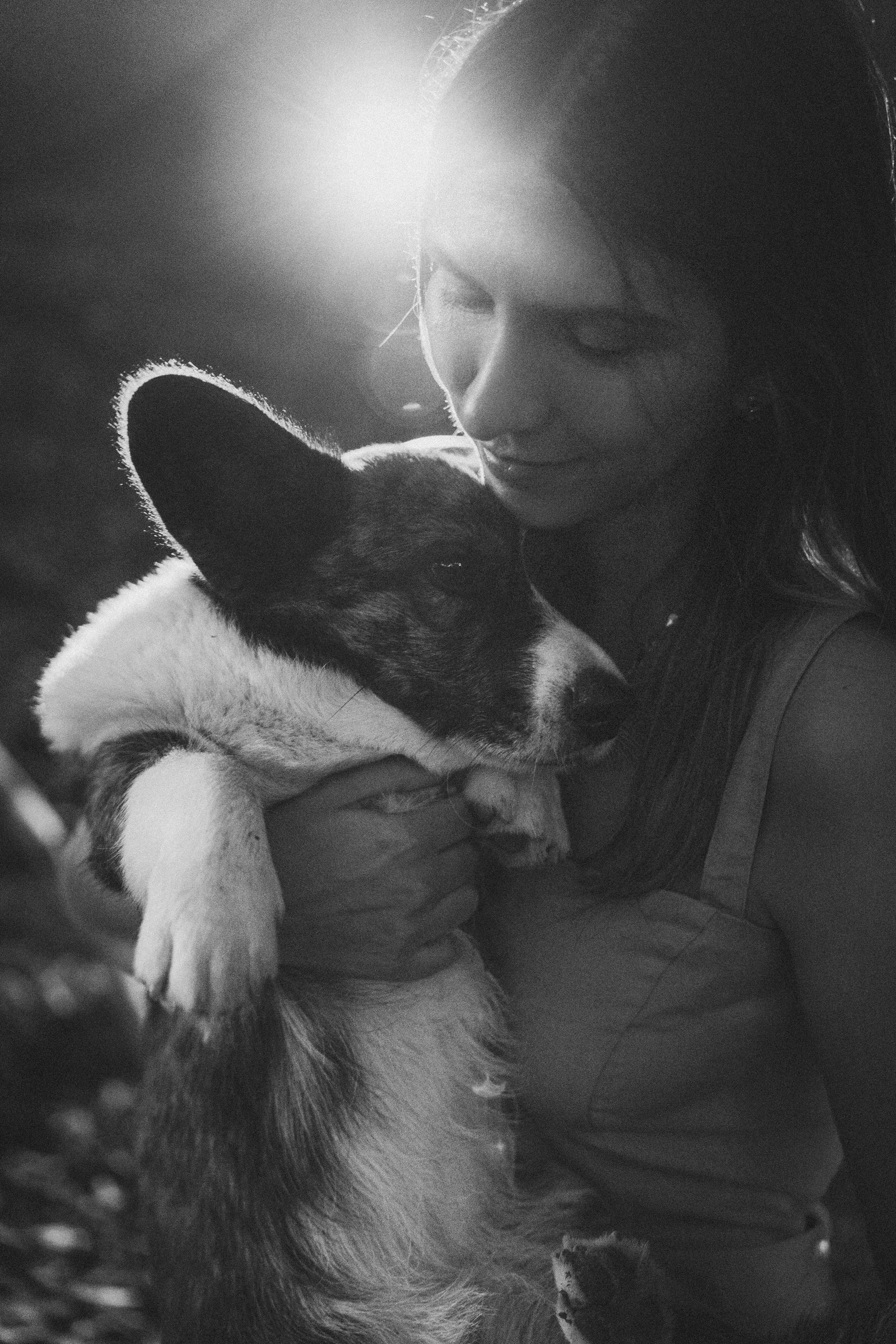 Влада и Коржики. Фотограф анималист в Москве и Санкт-Петербурге Свиридова Анна