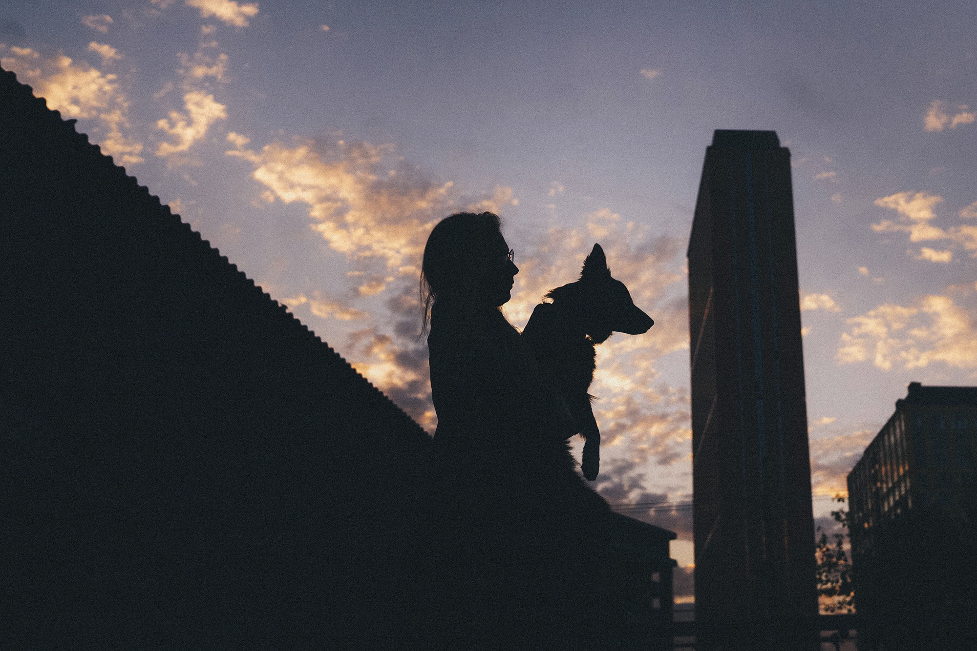 Аня и Брук. Фотограф анималист в Москве и Санкт-Петербурге Свиридова Анна