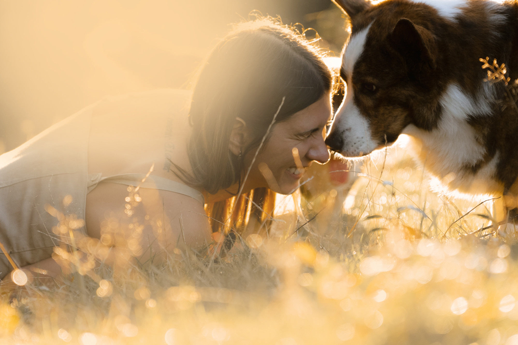 Влада и Коржики. Фотограф анималист в Москве и Санкт-Петербурге Свиридова Анна