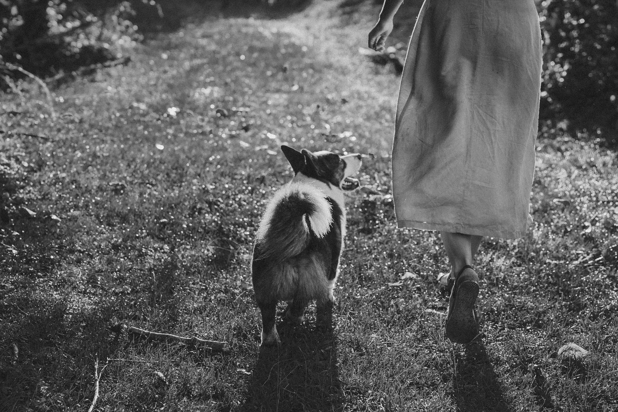 Влада и Коржики. Фотограф анималист в Москве и Санкт-Петербурге Свиридова Анна