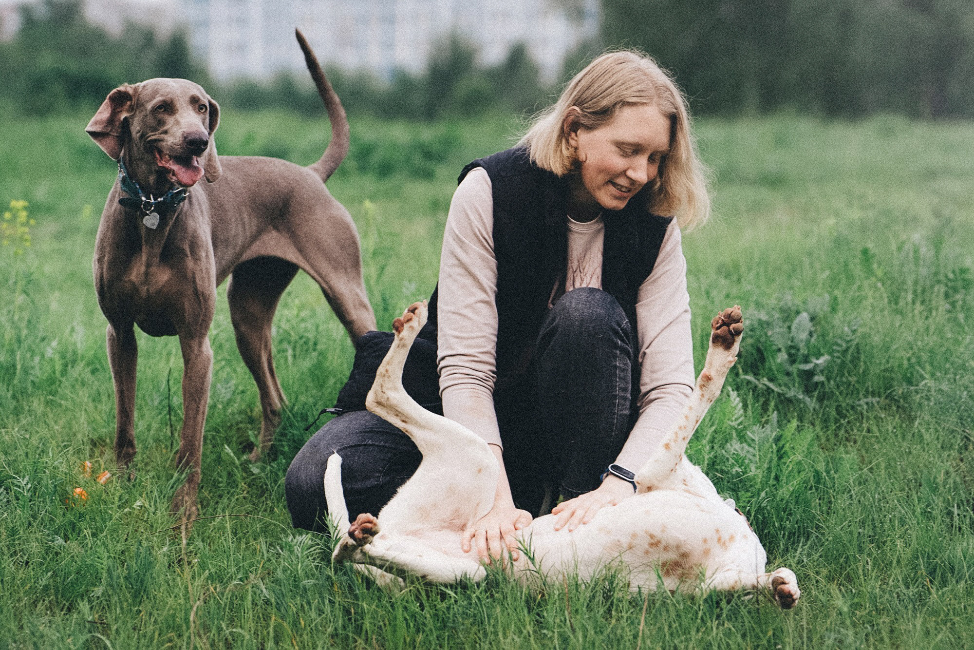 Полина, Борис, Луна и Эль. Фотограф анималист в Москве и Санкт-Петербурге Свиридова Анна