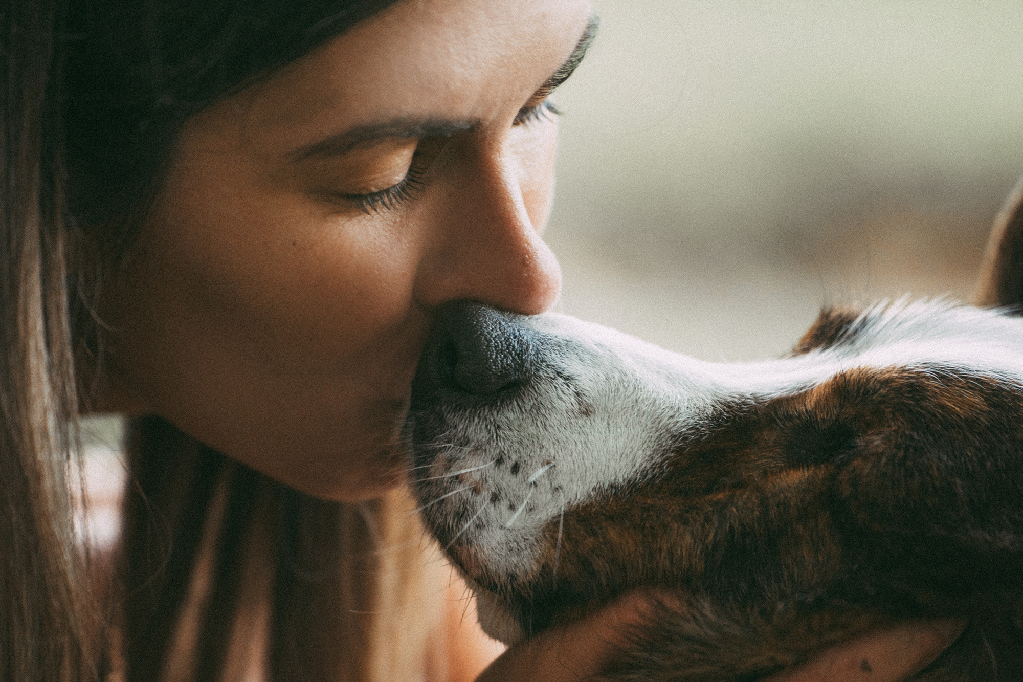 Влада и Коржики. Фотограф анималист в Москве и Санкт-Петербурге Свиридова Анна