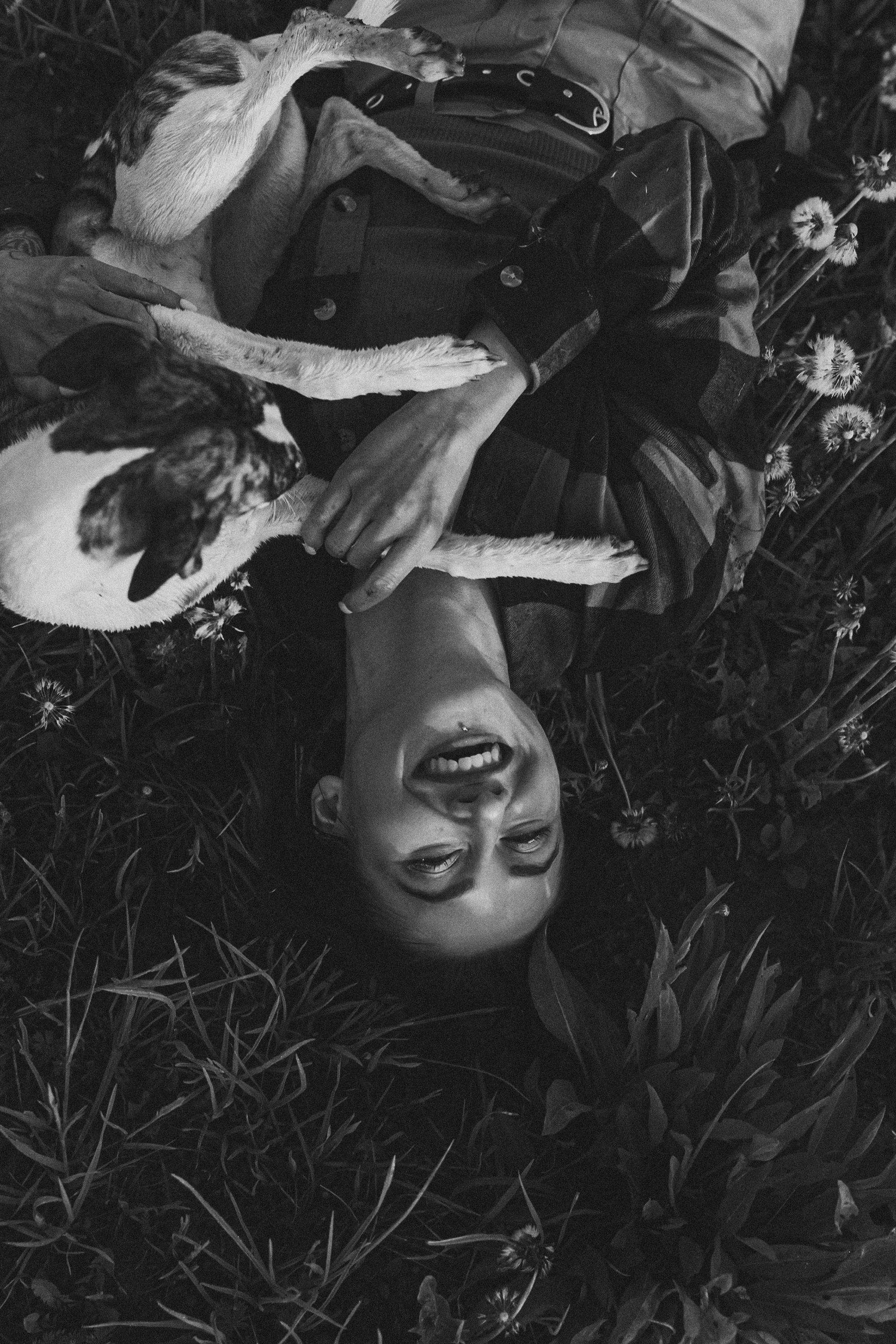 Софа, Уна и Лють. Фотограф анималист в Москве и Санкт-Петербурге Свиридова Анна