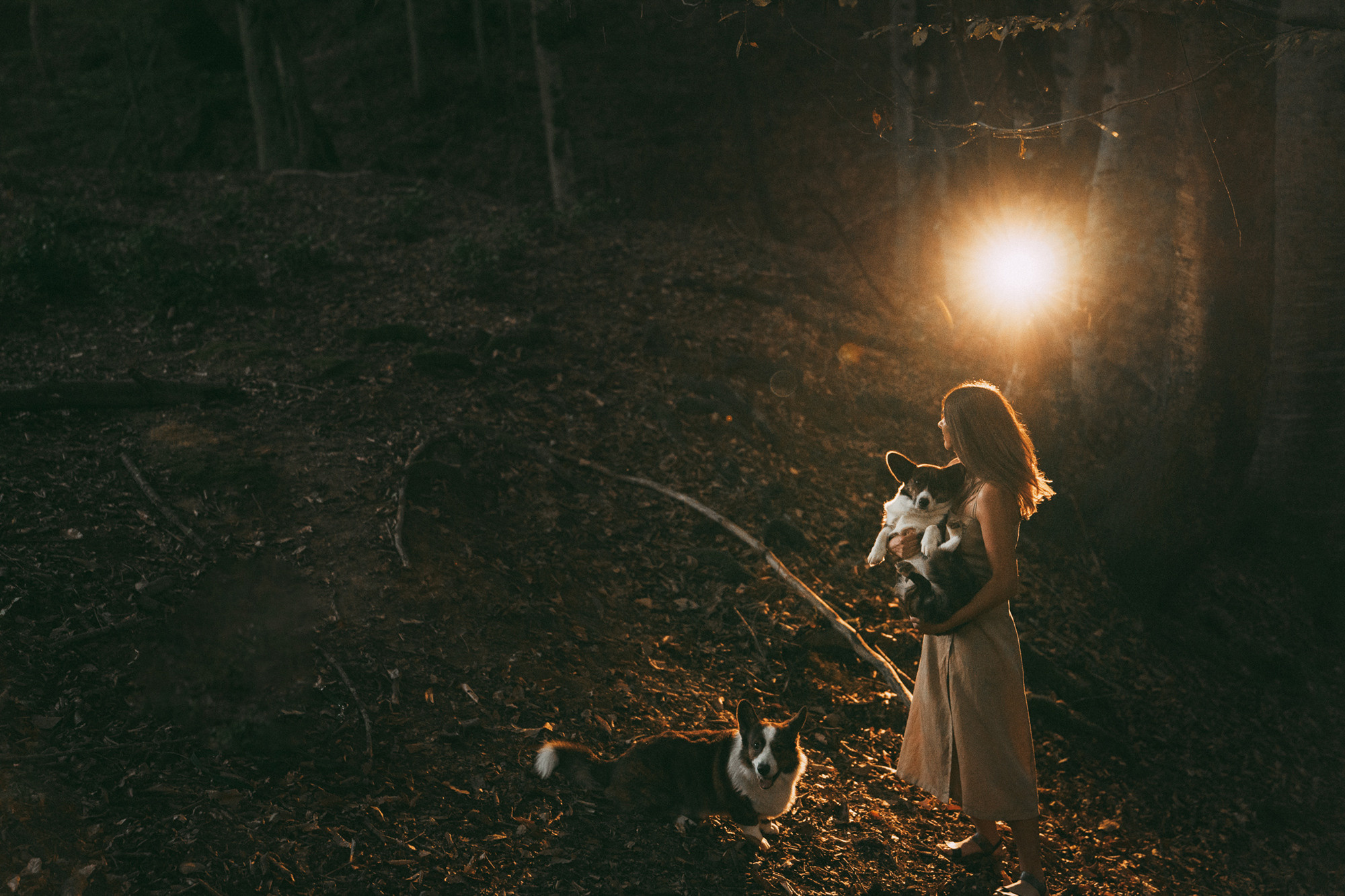 Влада и Коржики. Фотограф анималист в Москве и Санкт-Петербурге Свиридова Анна