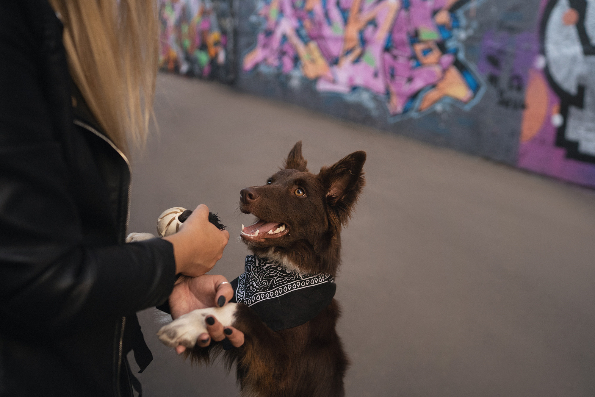 Аня и Брук. Фотограф анималист в Москве и Санкт-Петербурге Свиридова Анна
