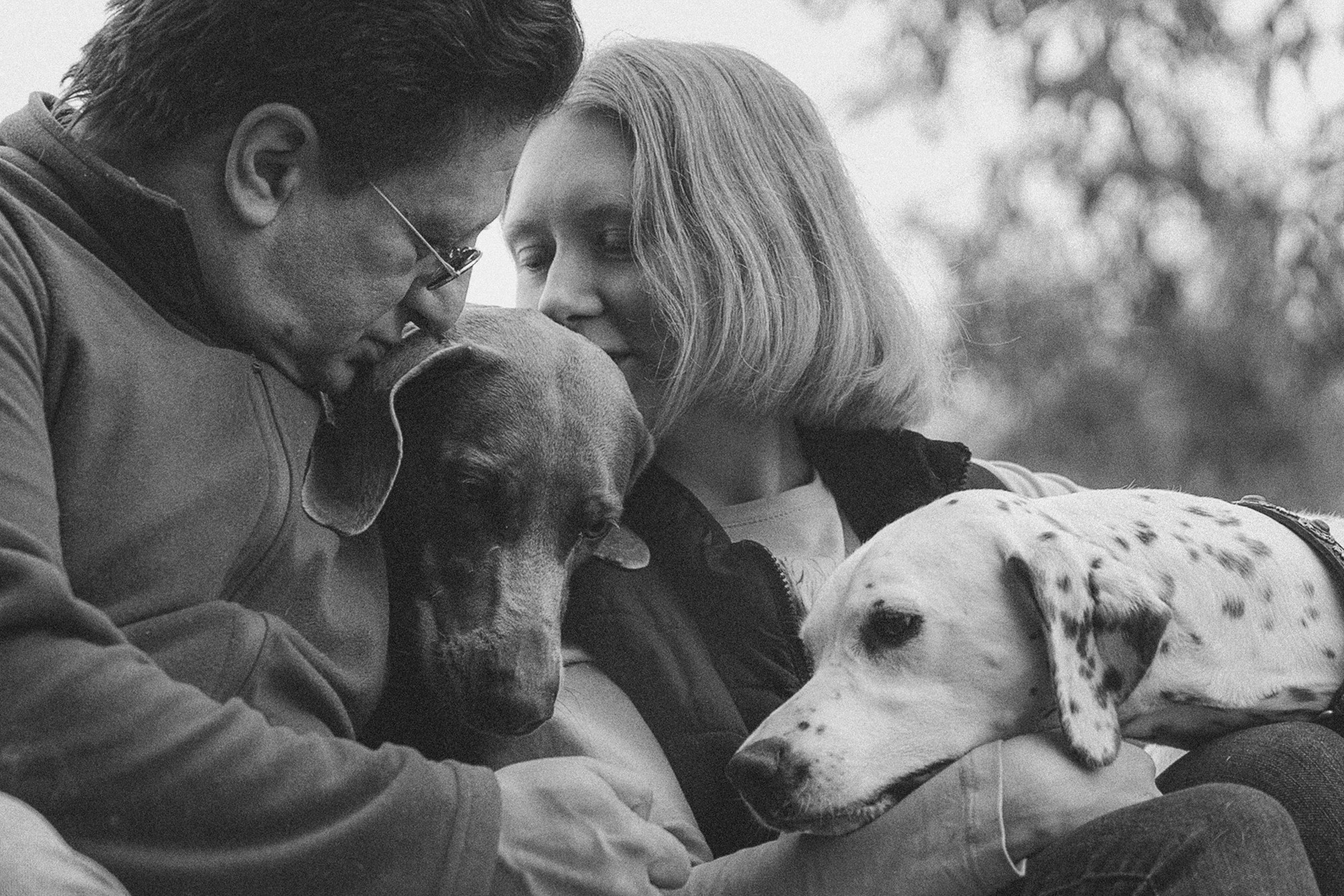 Полина, Борис, Луна и Эль. Фотограф анималист в Москве и Санкт-Петербурге Свиридова Анна