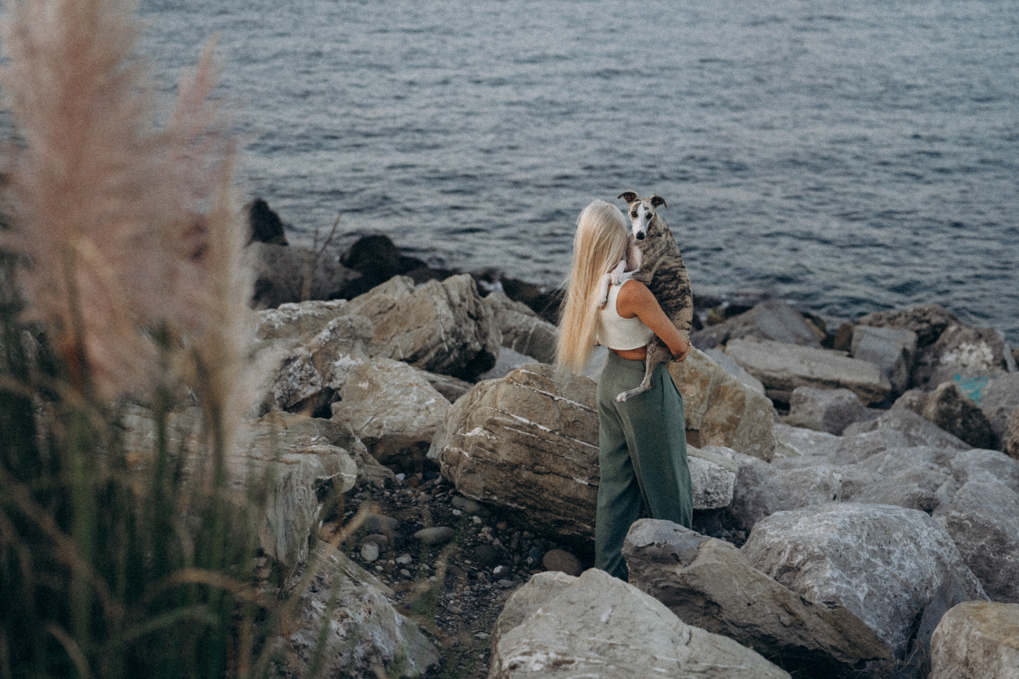 Аня и Джованни. Фотограф анималист в Москве и Санкт-Петербурге Свиридова Анна