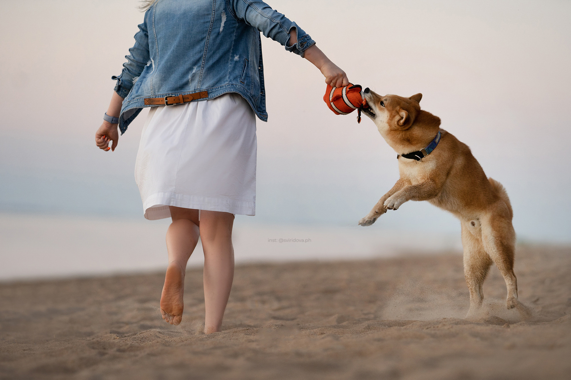 Даша, Сергей и Френки. Фотограф анималист в Москве и Санкт-Петербурге Свиридова Анна