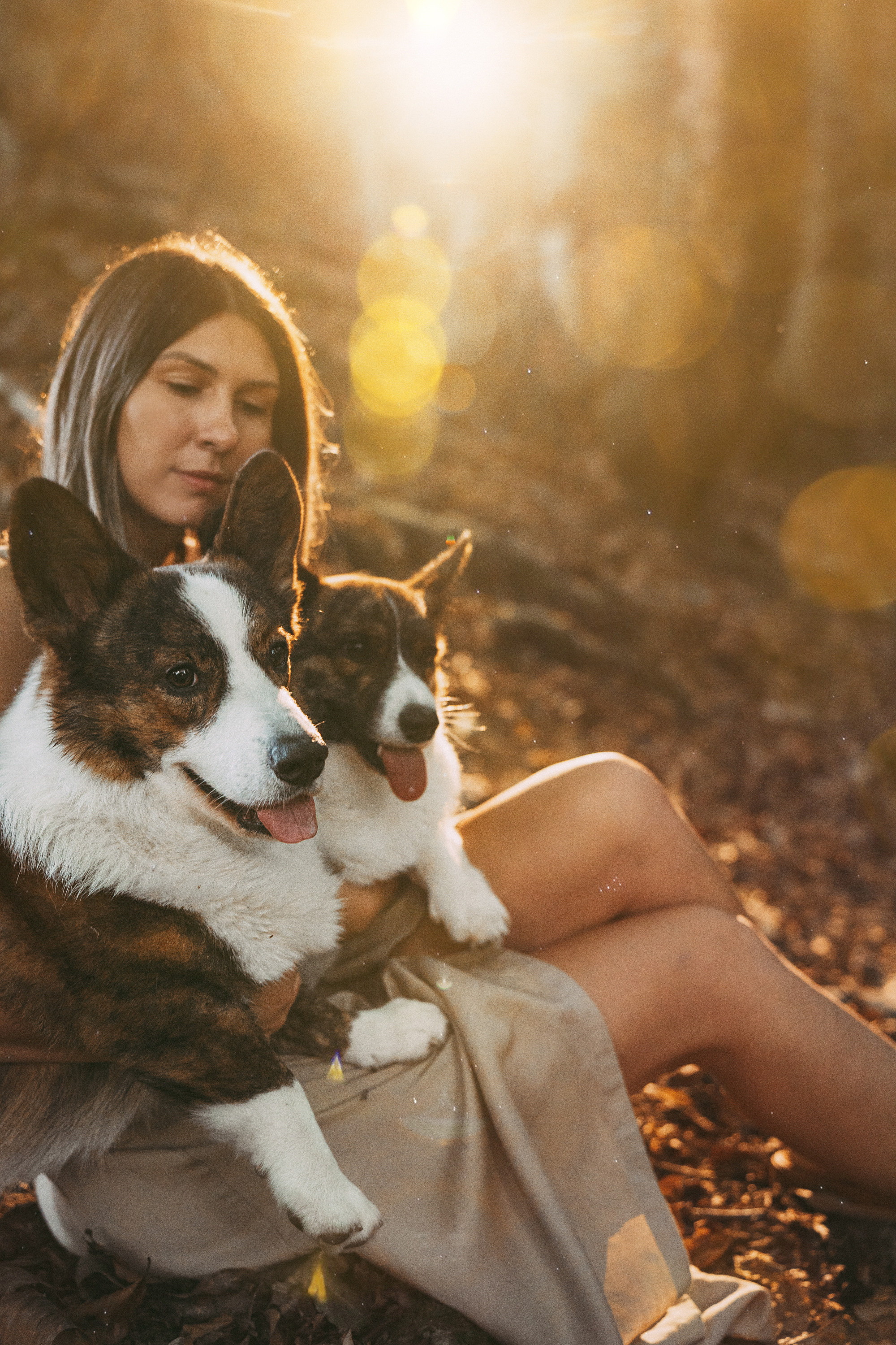 Влада и Коржики. Фотограф анималист в Москве и Санкт-Петербурге Свиридова Анна