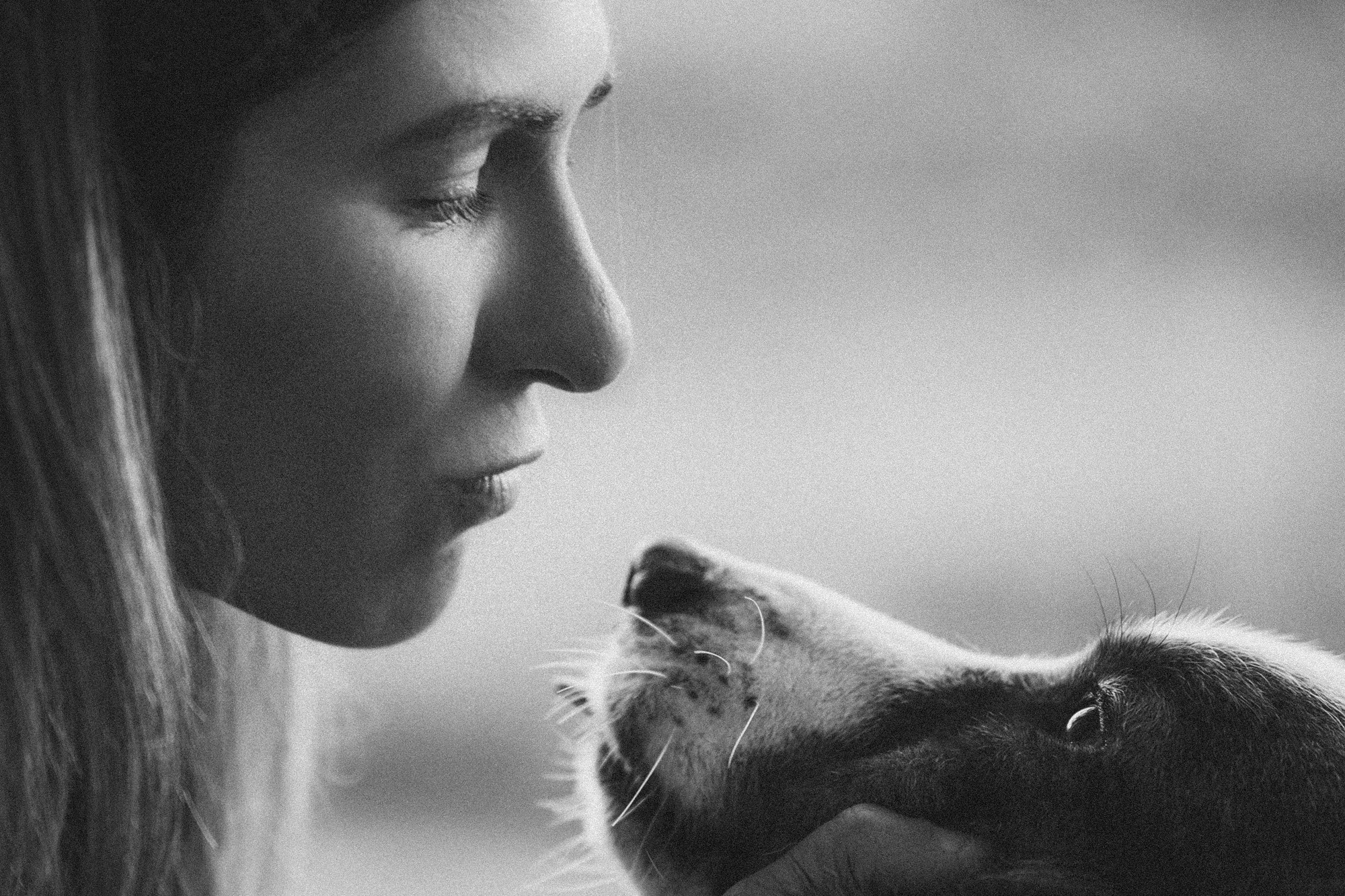 Влада и Коржики. Фотограф анималист в Москве и Санкт-Петербурге Свиридова Анна