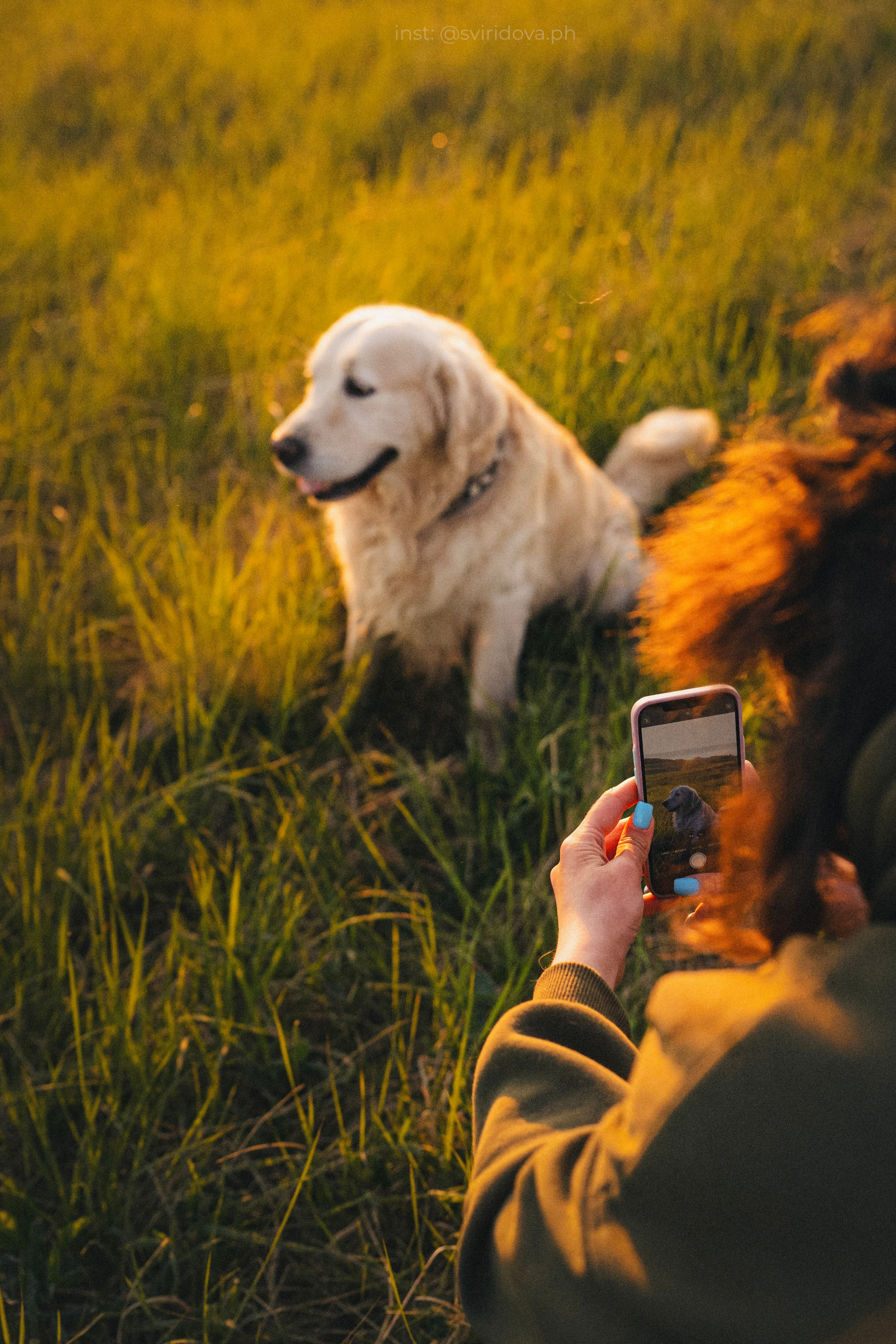 Настя и Арчи. Фотограф анималист в Москве и Санкт-Петербурге Свиридова Анна