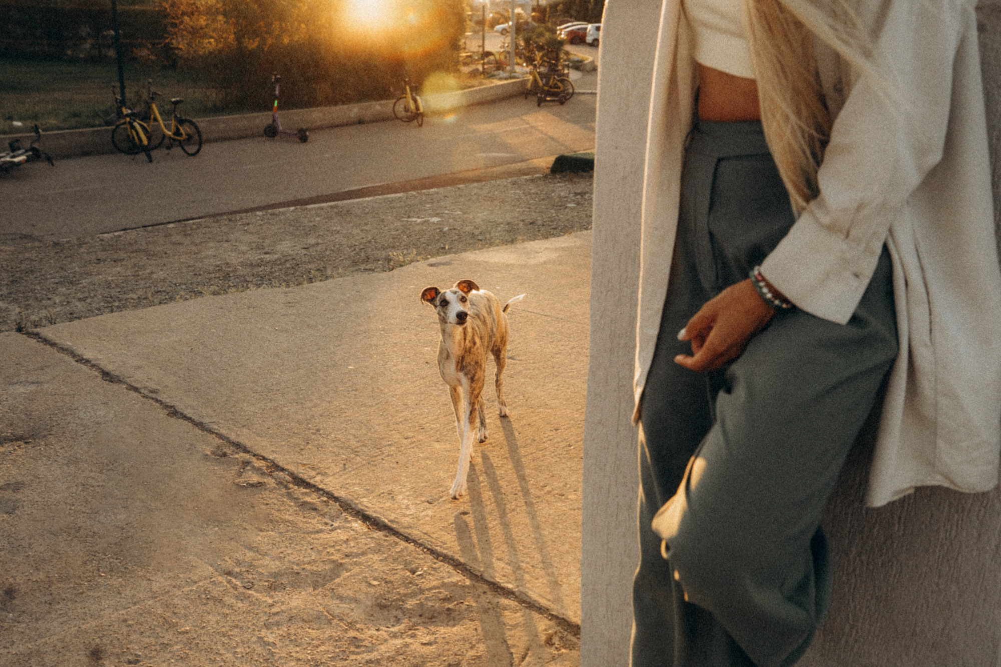 Аня и Джованни. Фотограф анималист в Москве и Санкт-Петербурге Свиридова Анна