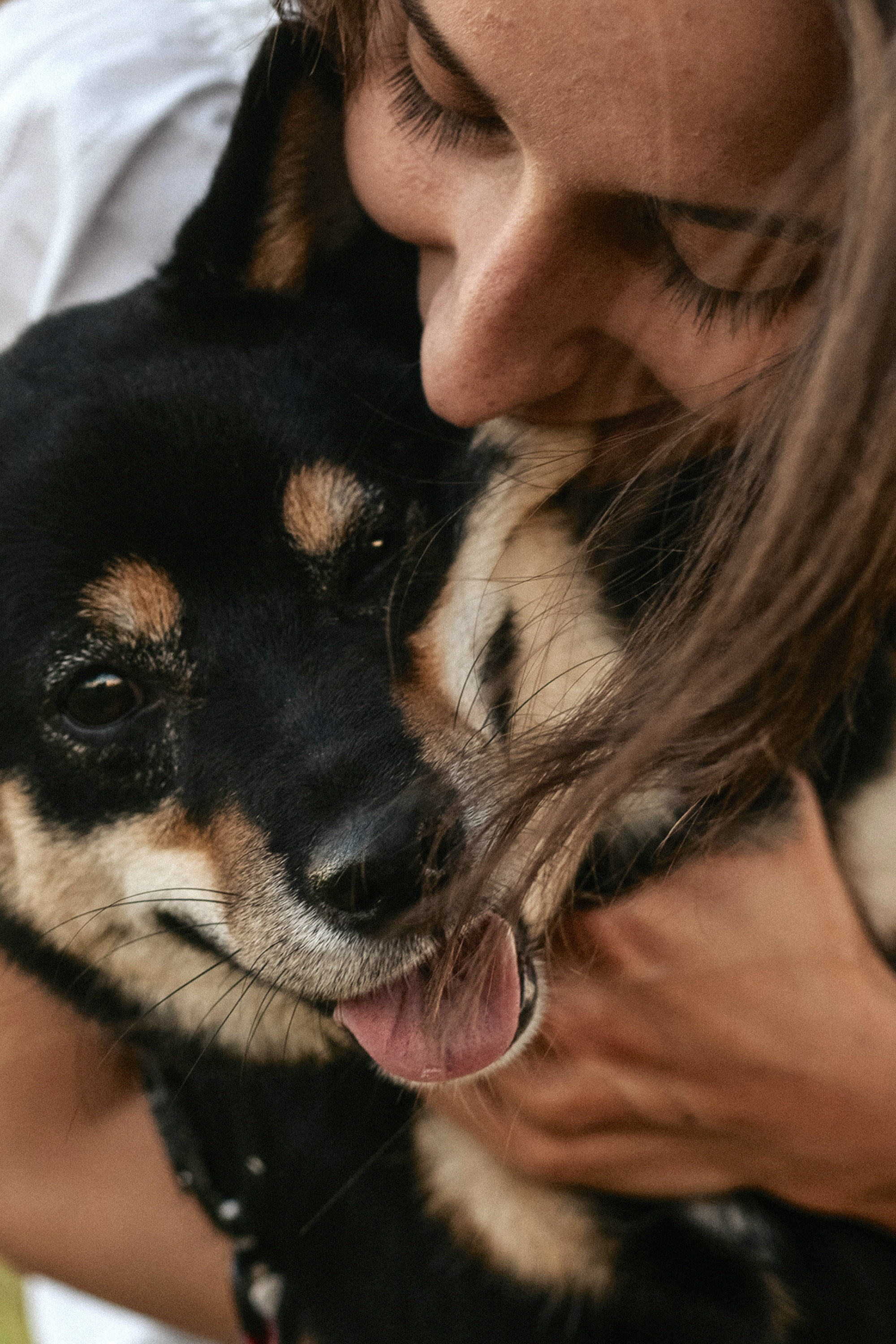 Катя, Вася, Роки и Бэлла. Фотограф анималист в Москве и Санкт-Петербурге Свиридова Анна