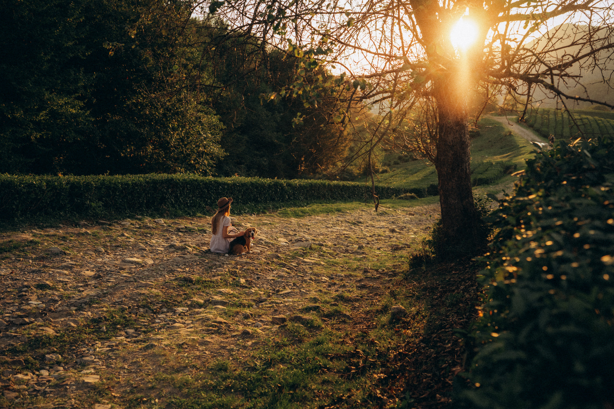 Женя и Мира. Фотограф анималист в Москве и Санкт-Петербурге Свиридова Анна