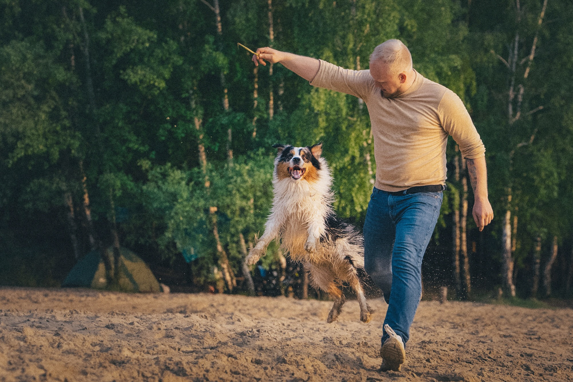 Аня, Игорь, Аусь и Хась. Фотограф анималист в Москве и Санкт-Петербурге Свиридова Анна
