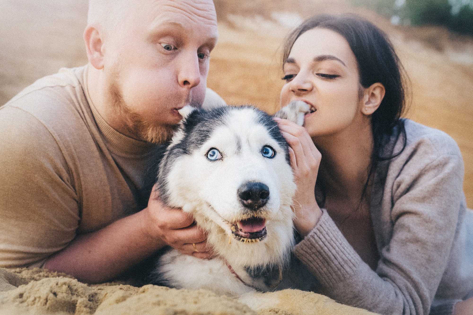 Аня, Игорь, Аусь и Хась. Фотограф анималист в Москве и Санкт-Петербурге Свиридова Анна