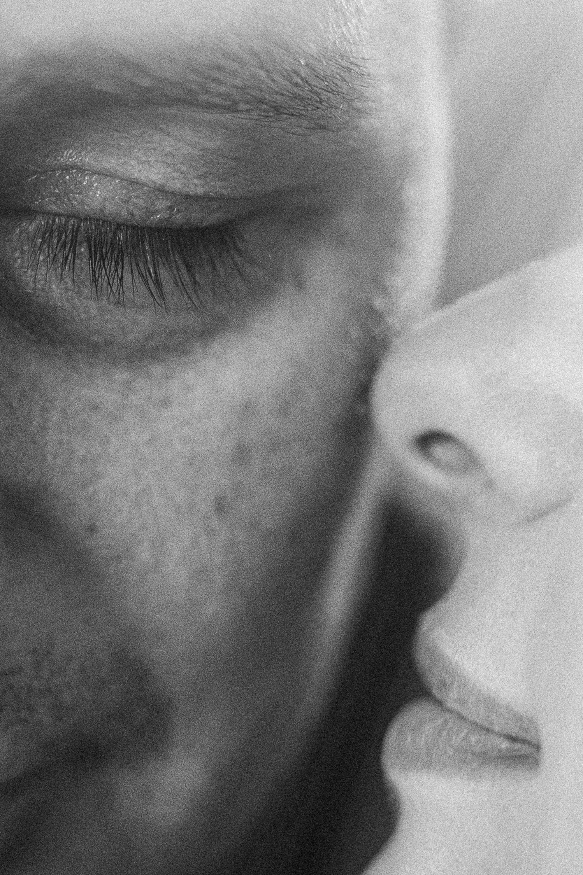 Амина, Андрей и Умка. Фотограф анималист в Москве и Санкт-Петербурге Свиридова Анна