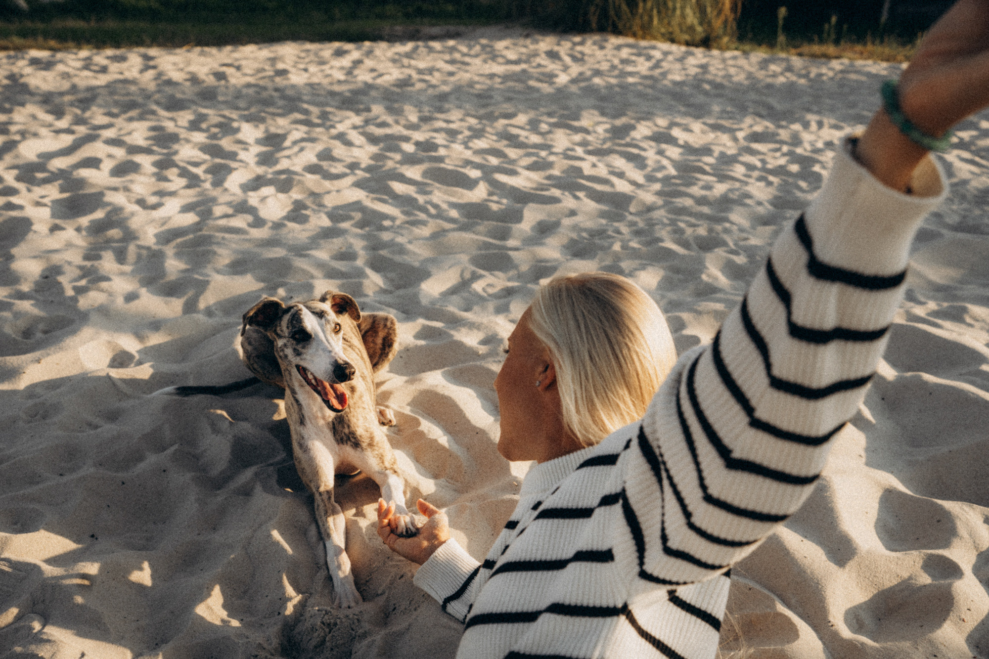 Аня и Джованни. Фотограф анималист в Москве и Санкт-Петербурге Свиридова Анна