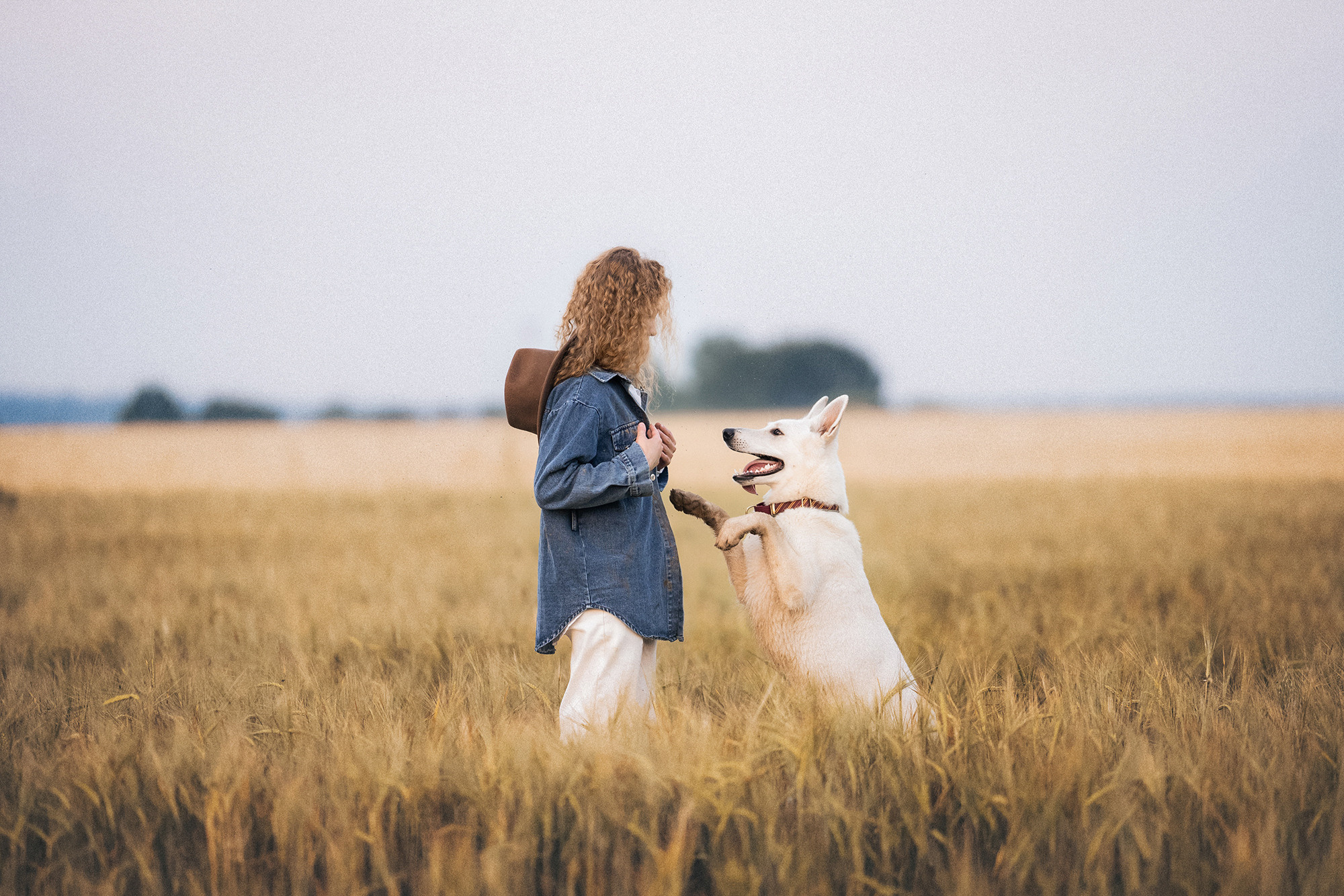 Лиза и Юста. Фотограф анималист в Москве и Санкт-Петербурге Свиридова Анна