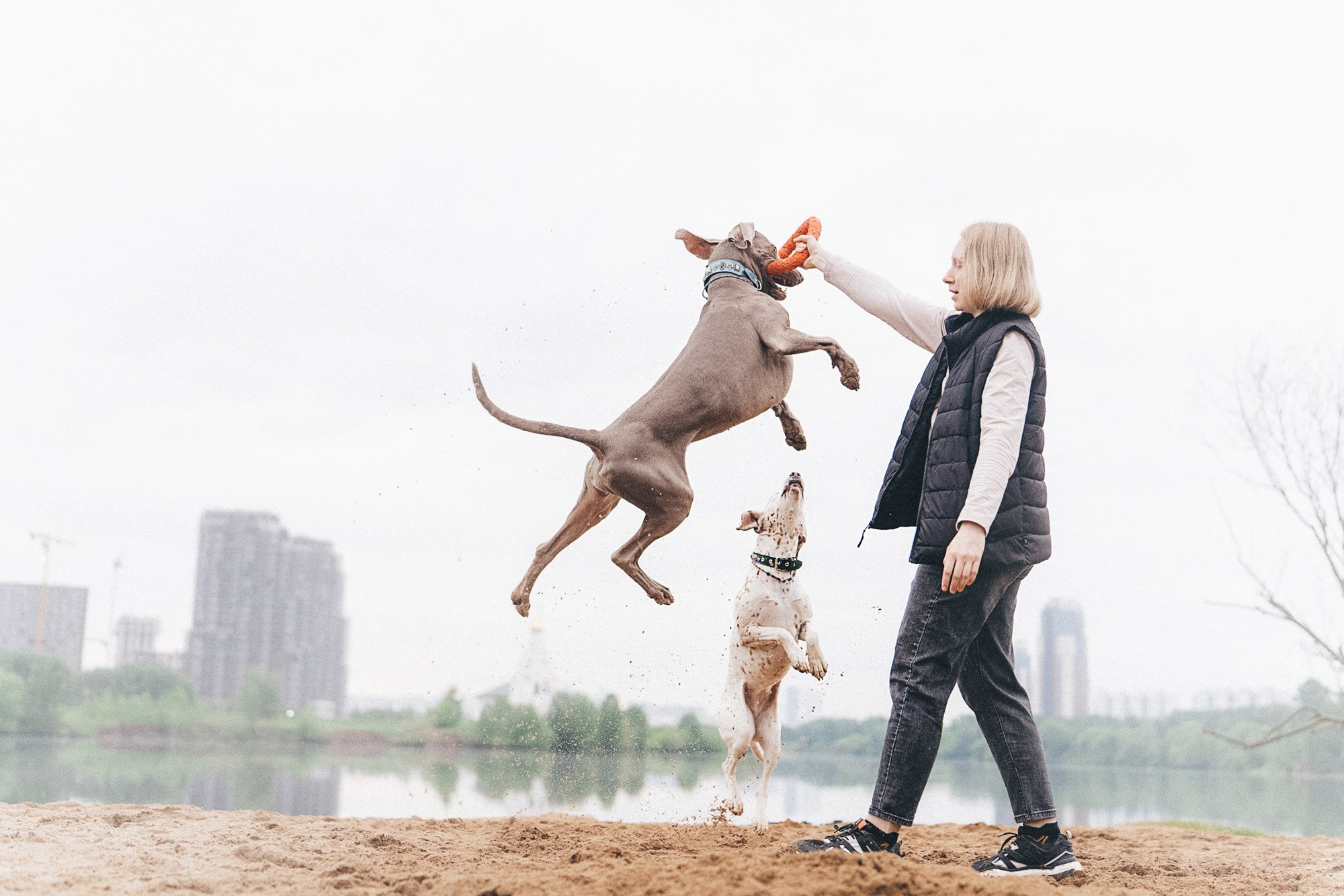 Полина, Борис, Луна и Эль. Фотограф анималист в Москве и Санкт-Петербурге Свиридова Анна