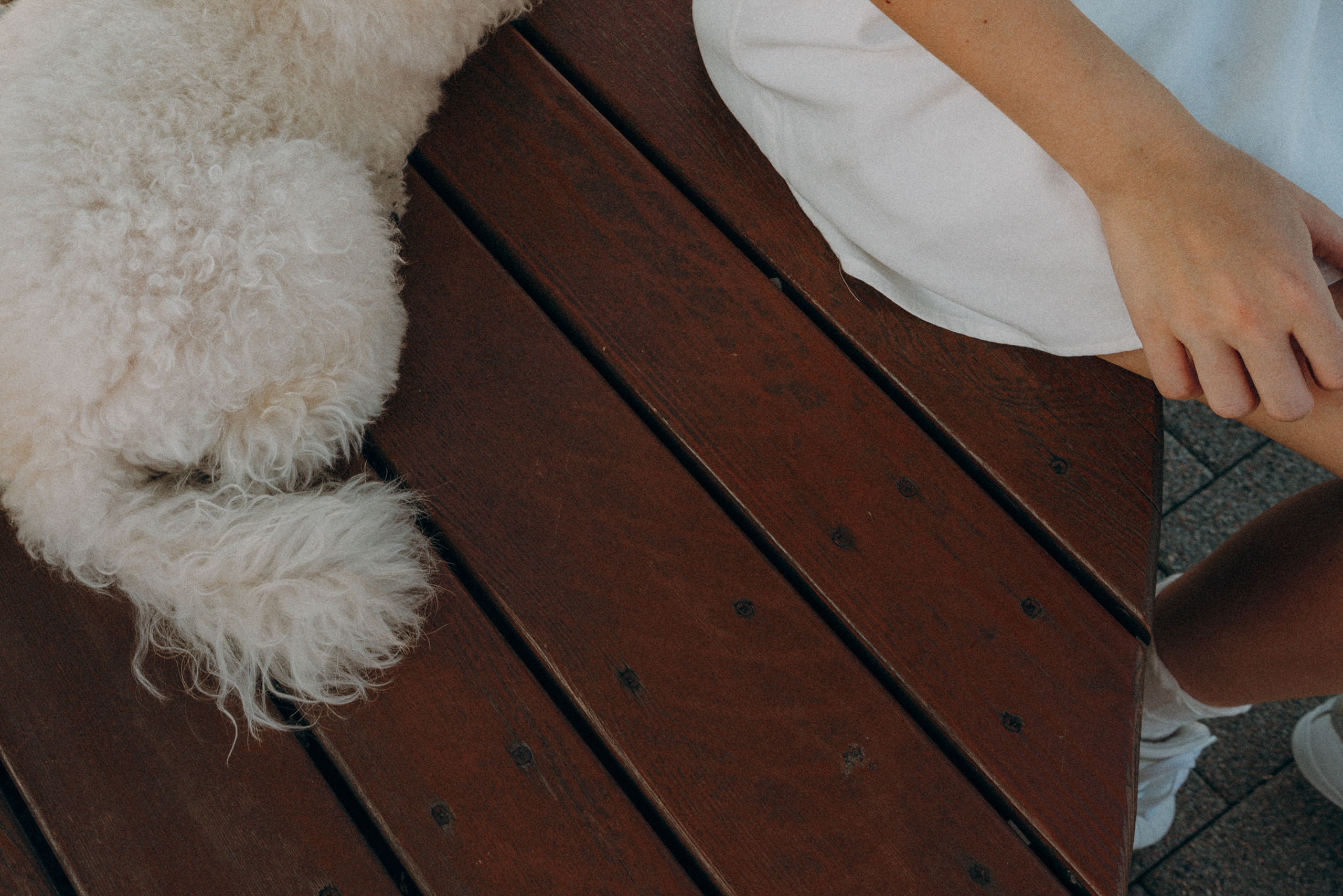 Ангелина и Варежка. Фотограф анималист в Москве и Санкт-Петербурге Свиридова Анна